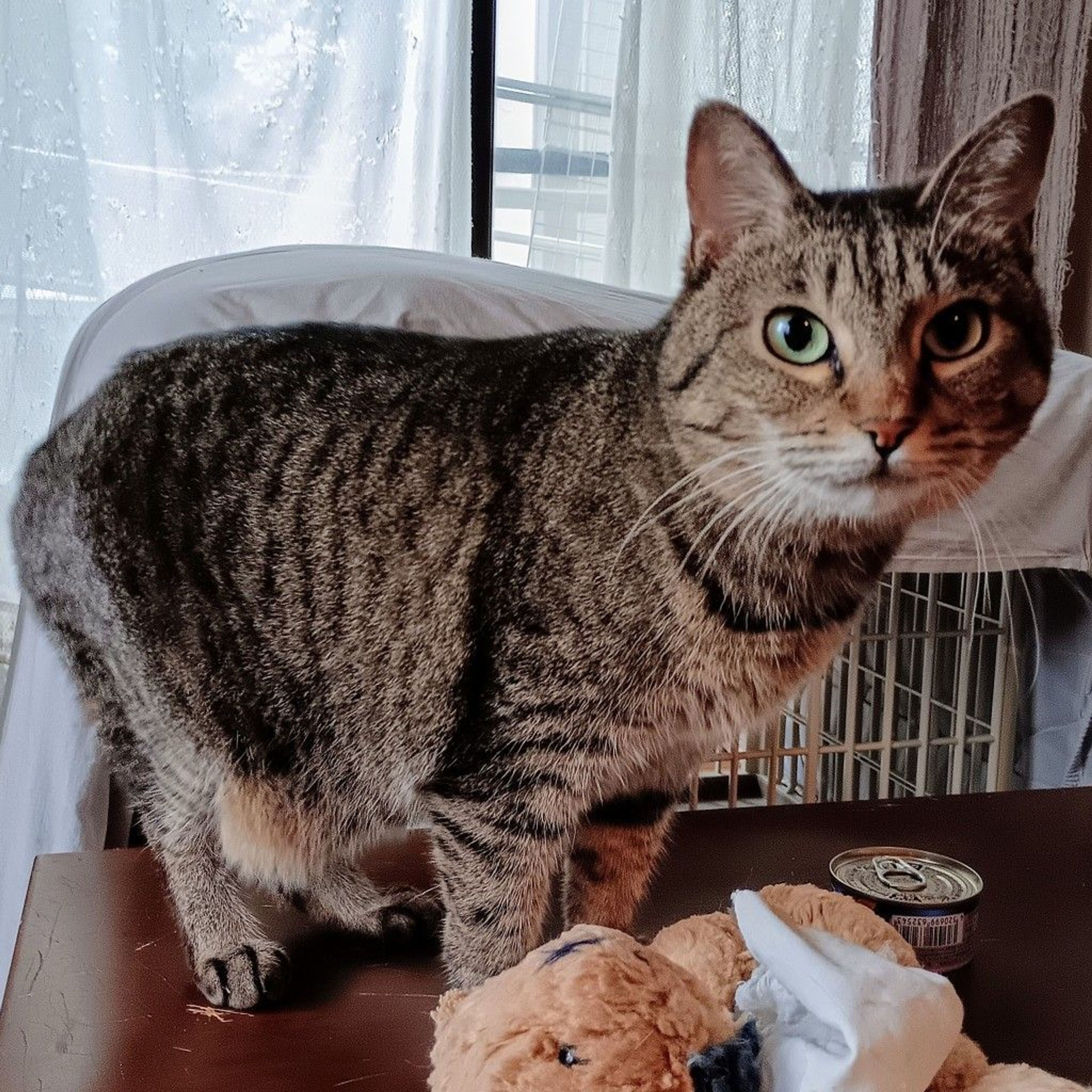 image-6