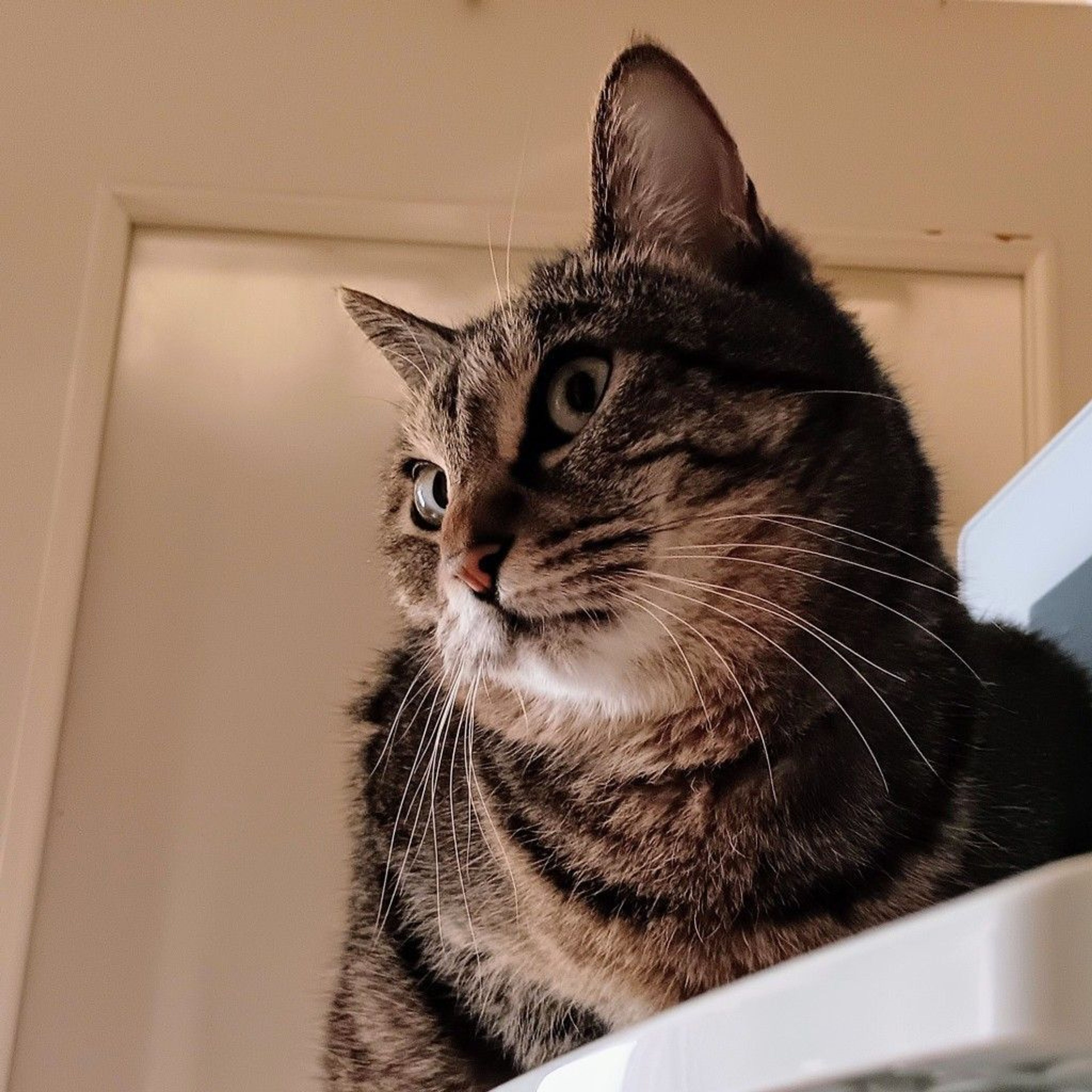 image-6