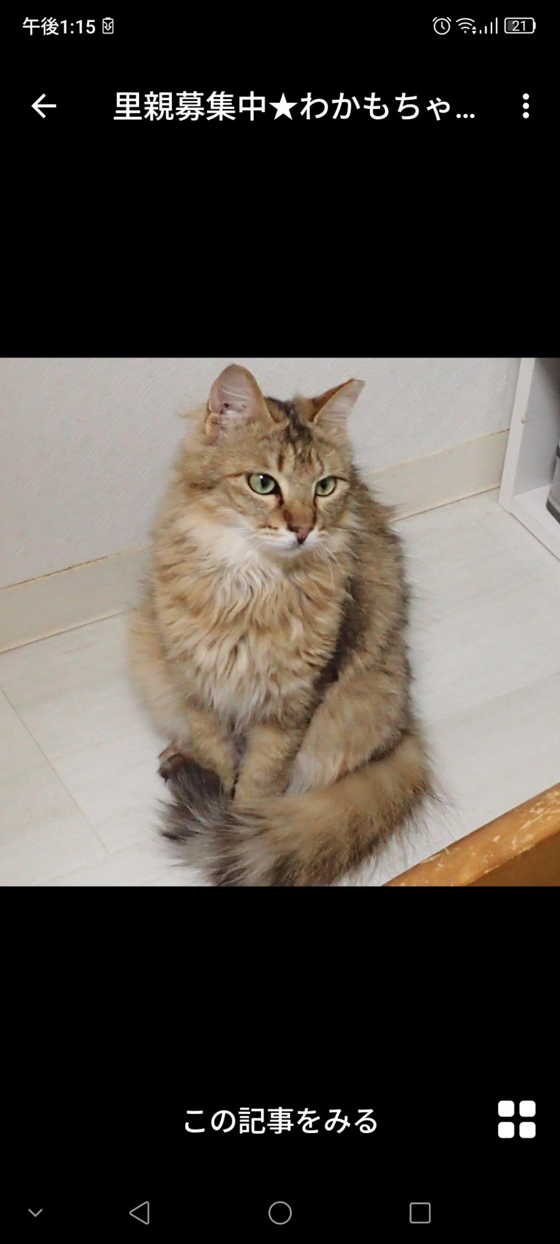 pet-image-3