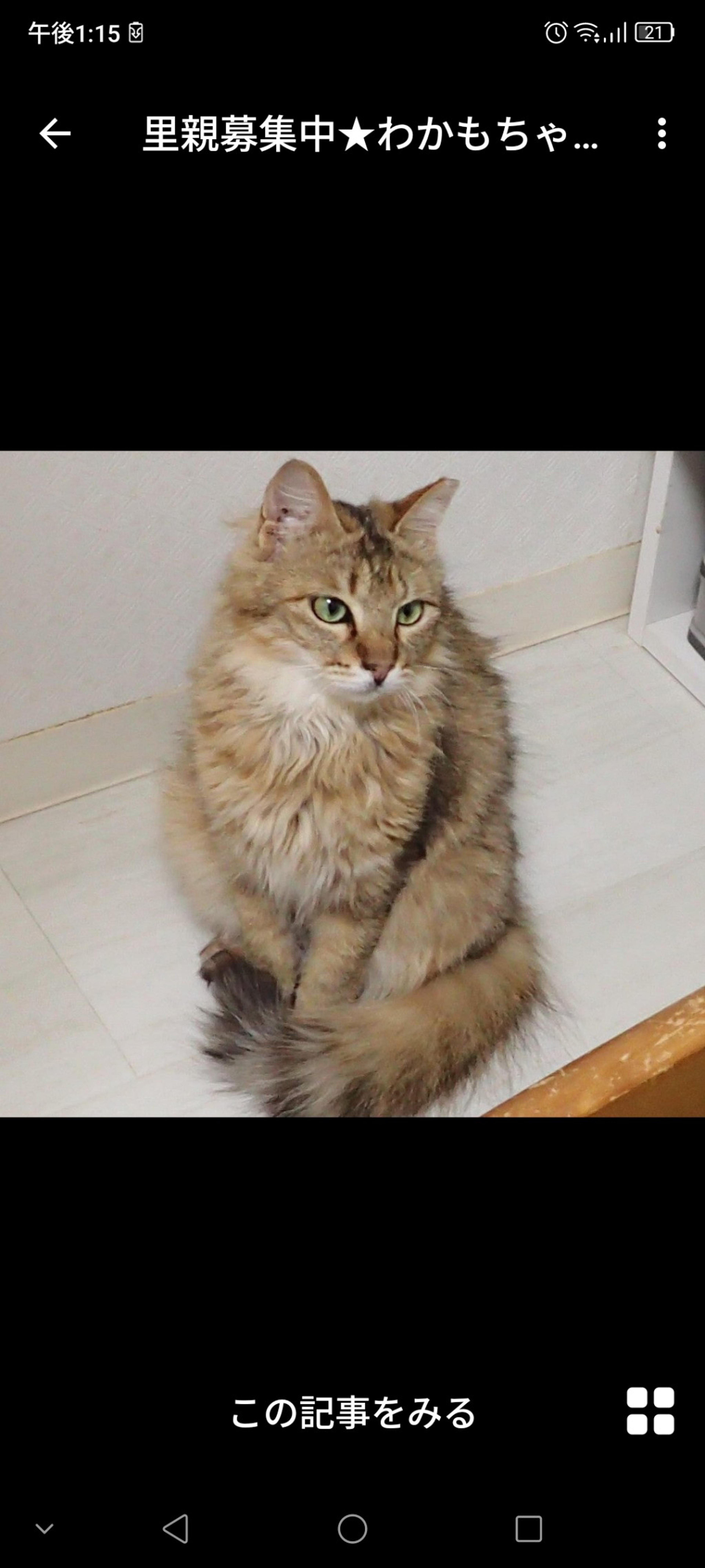 pet-image-3