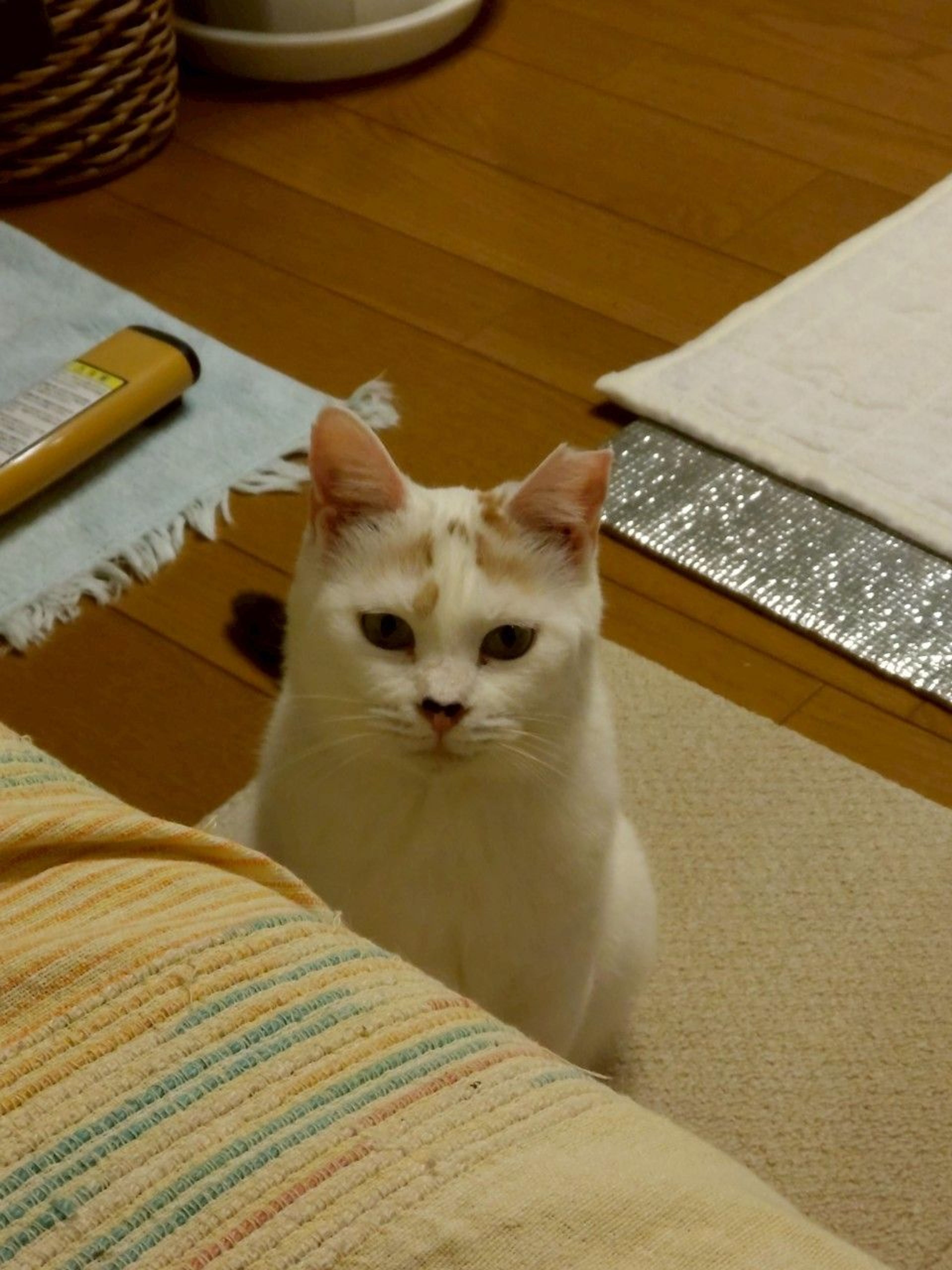 image-1