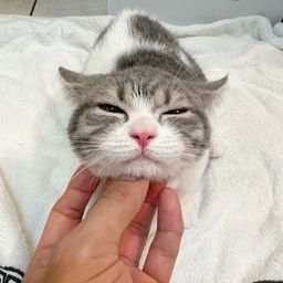 thumb-8