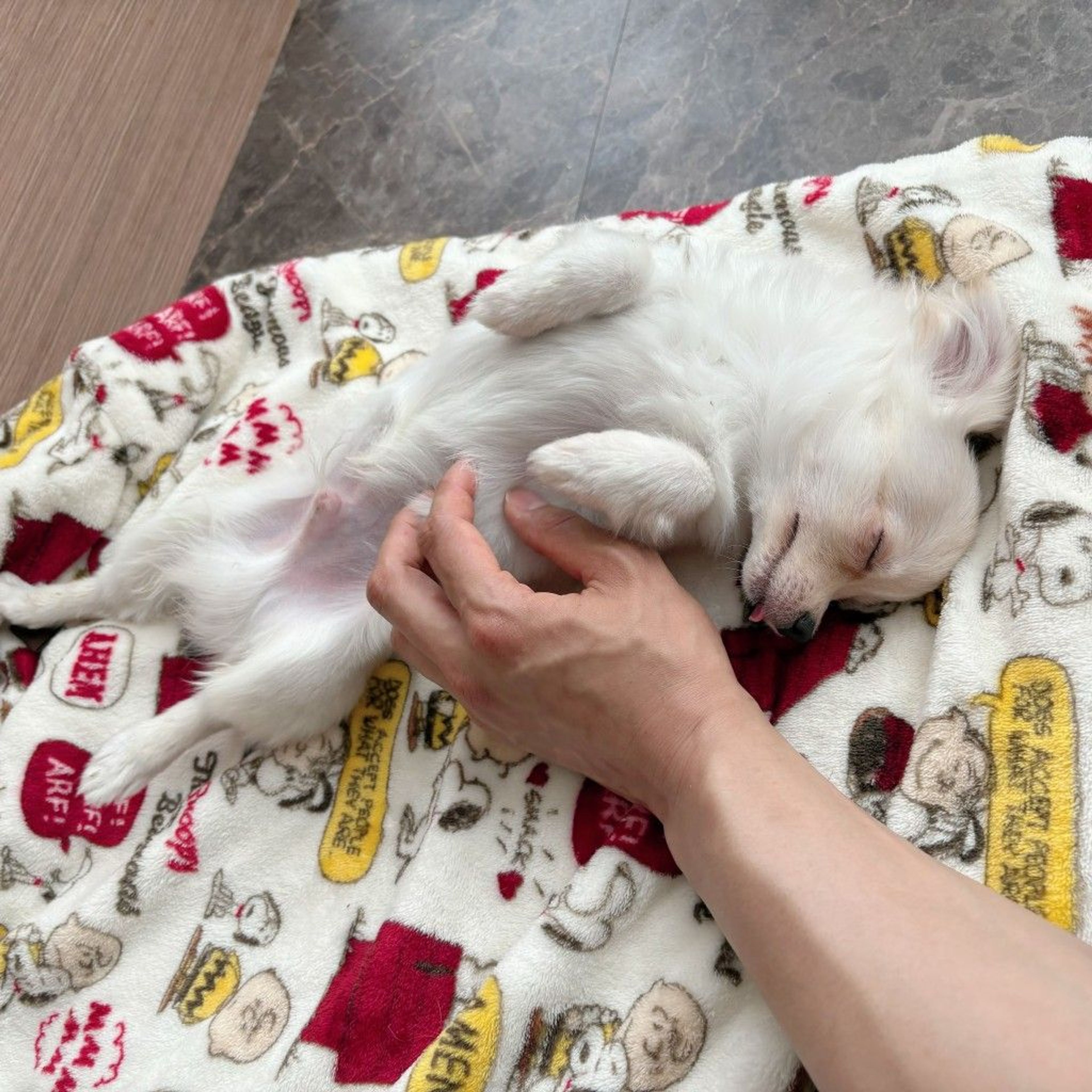 image-7