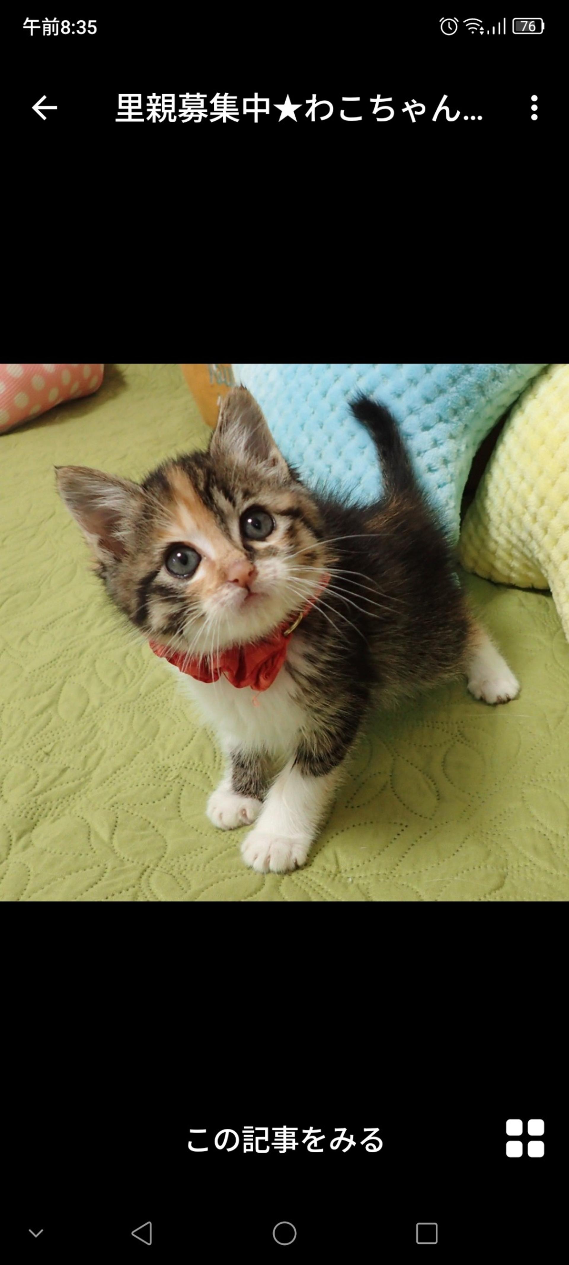 pet-image-3