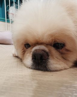 thumb-1