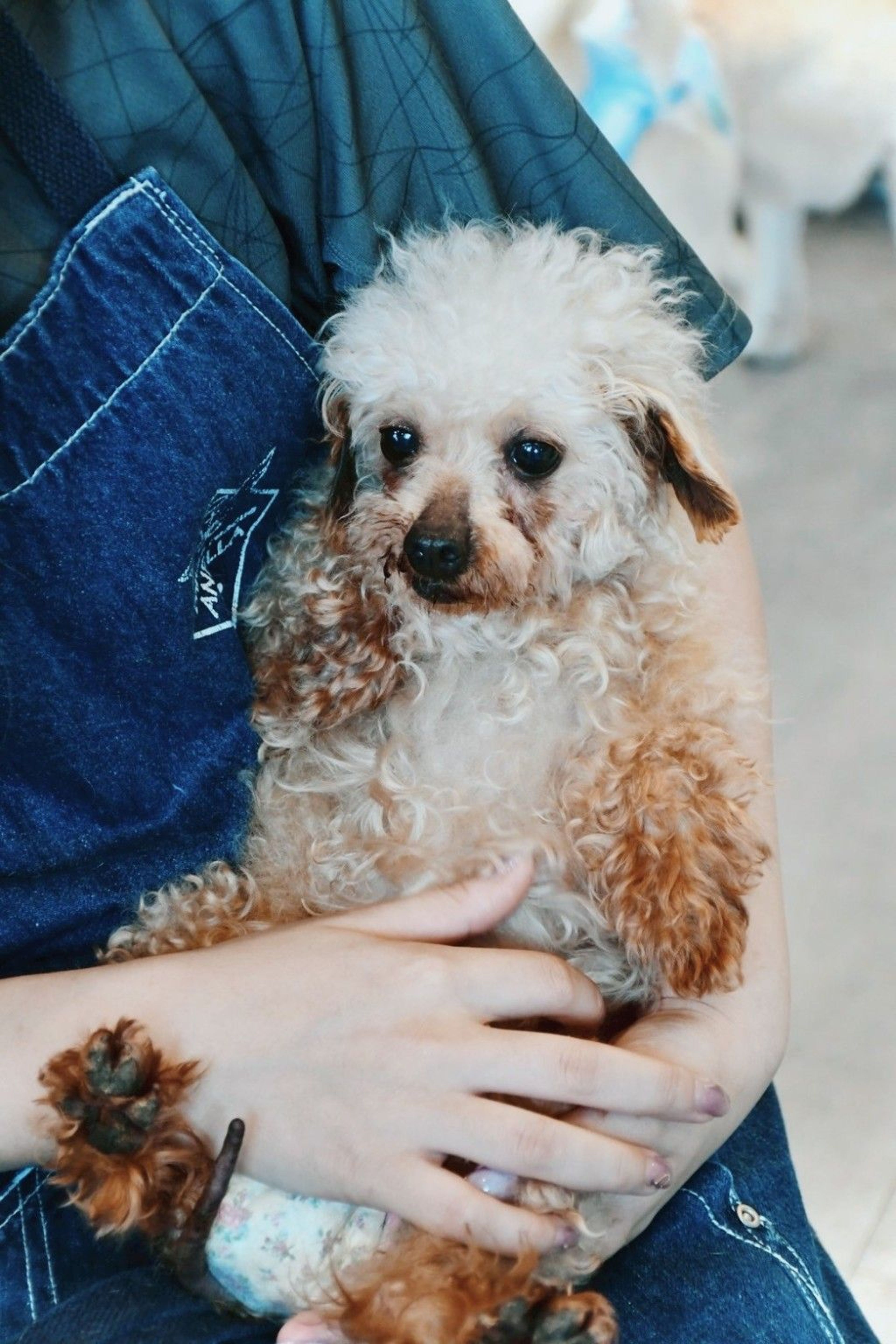 image-4