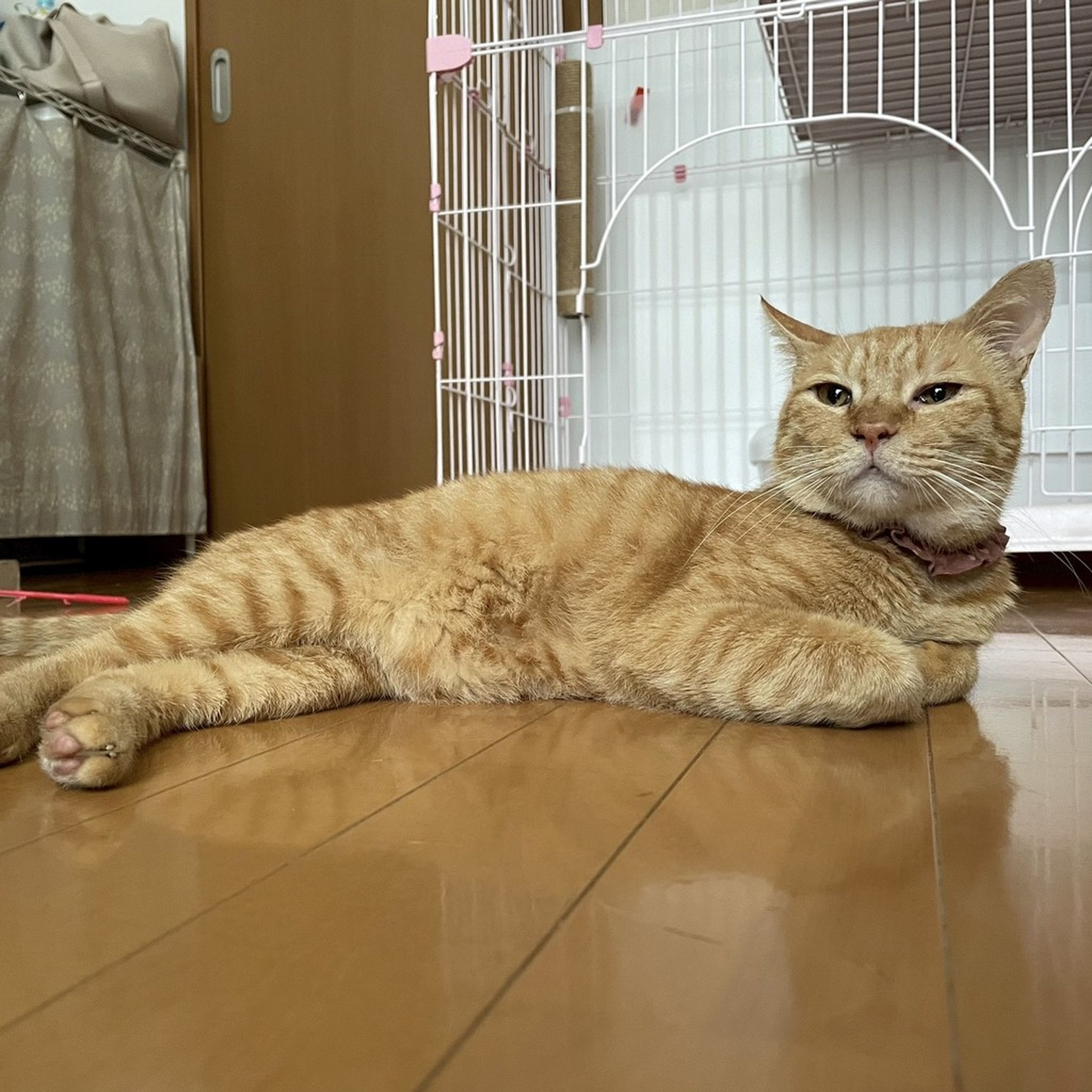 image-7
