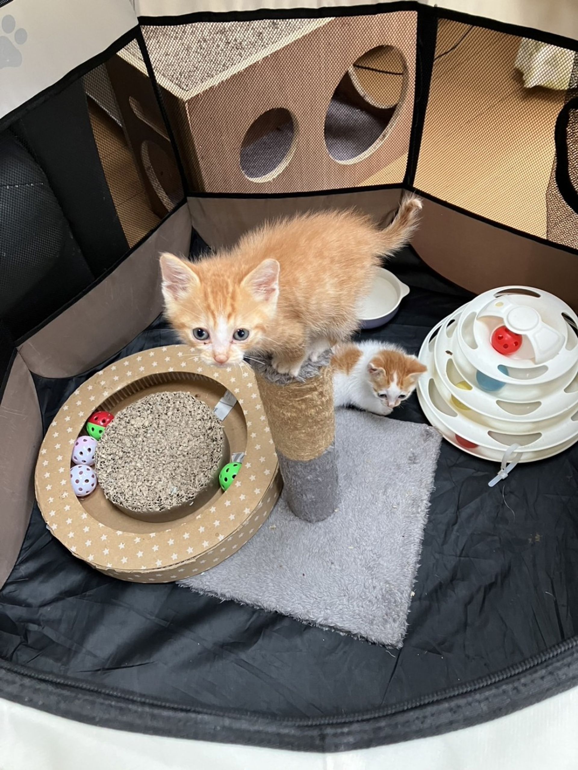 thumbnail-3