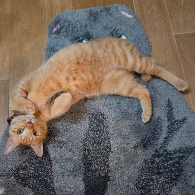 りょうたの写真