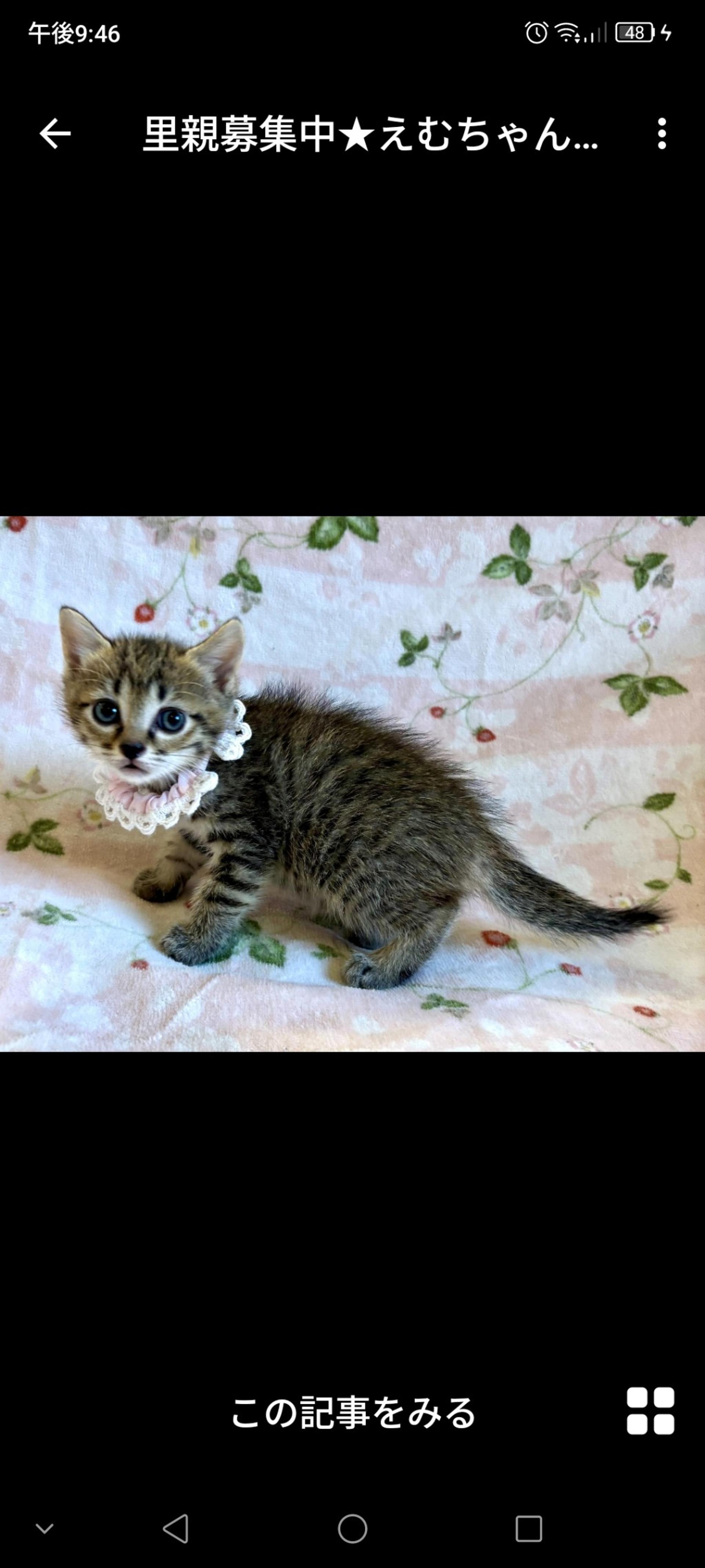 pet-image-2