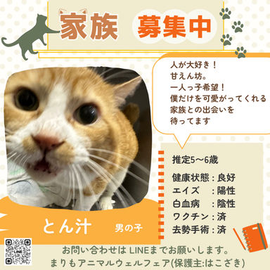 とん汁