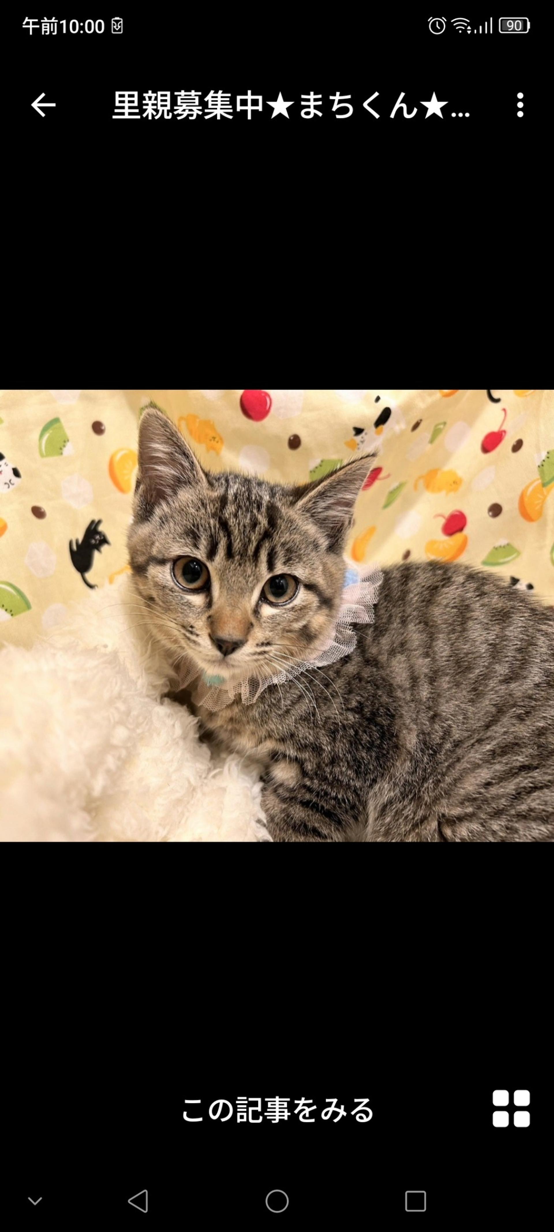 pet-image-2