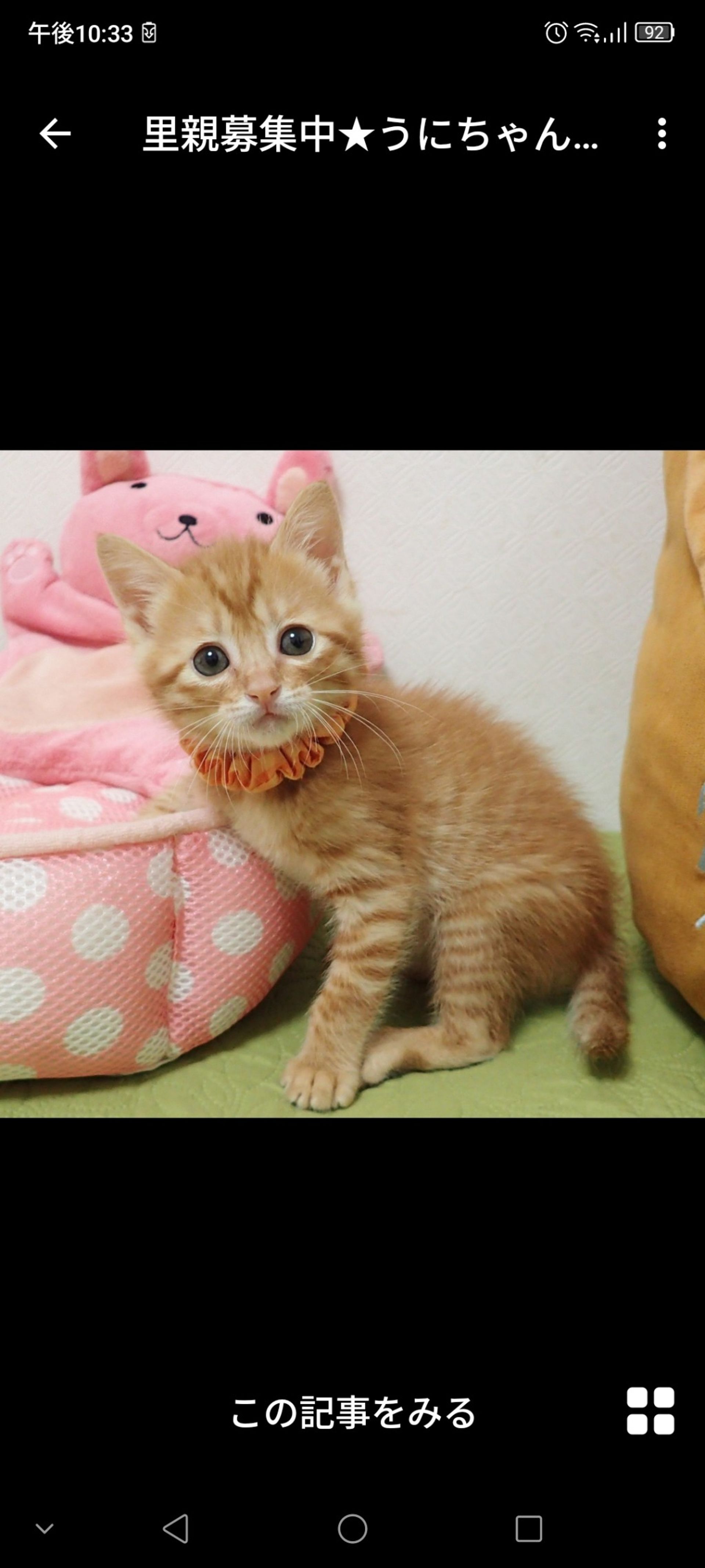 thumbnail-3