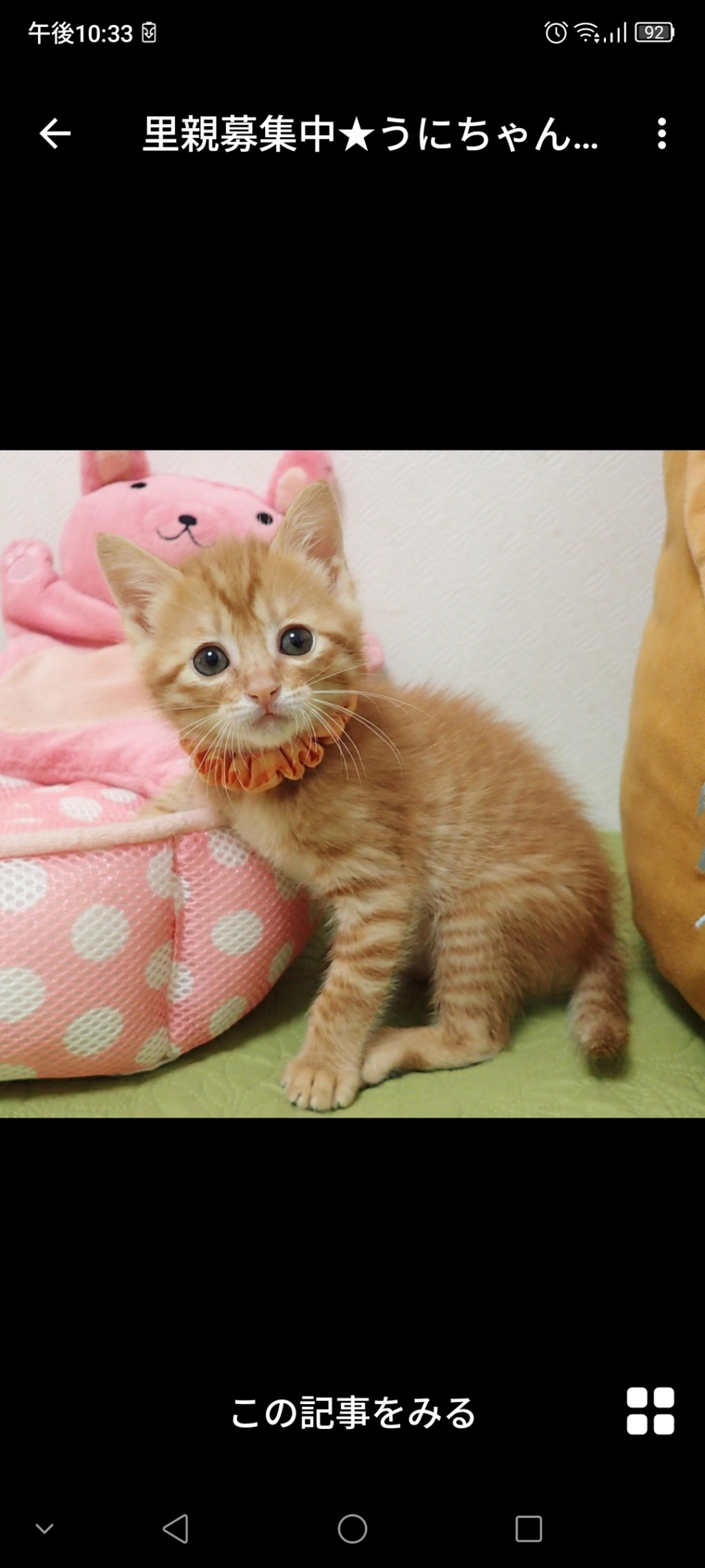 pet-image-3