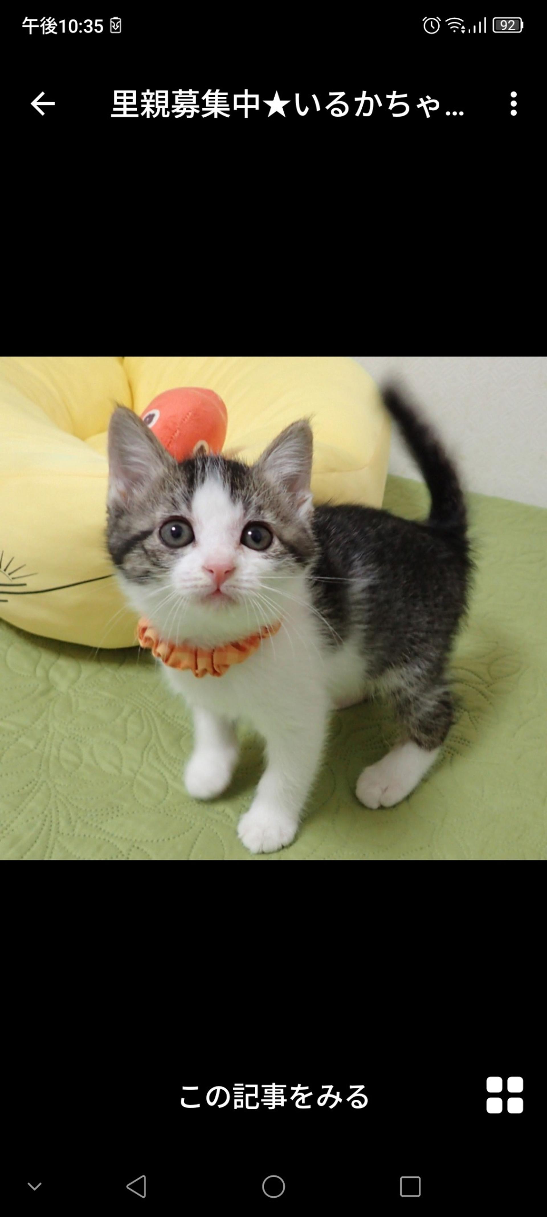 pet-image-2