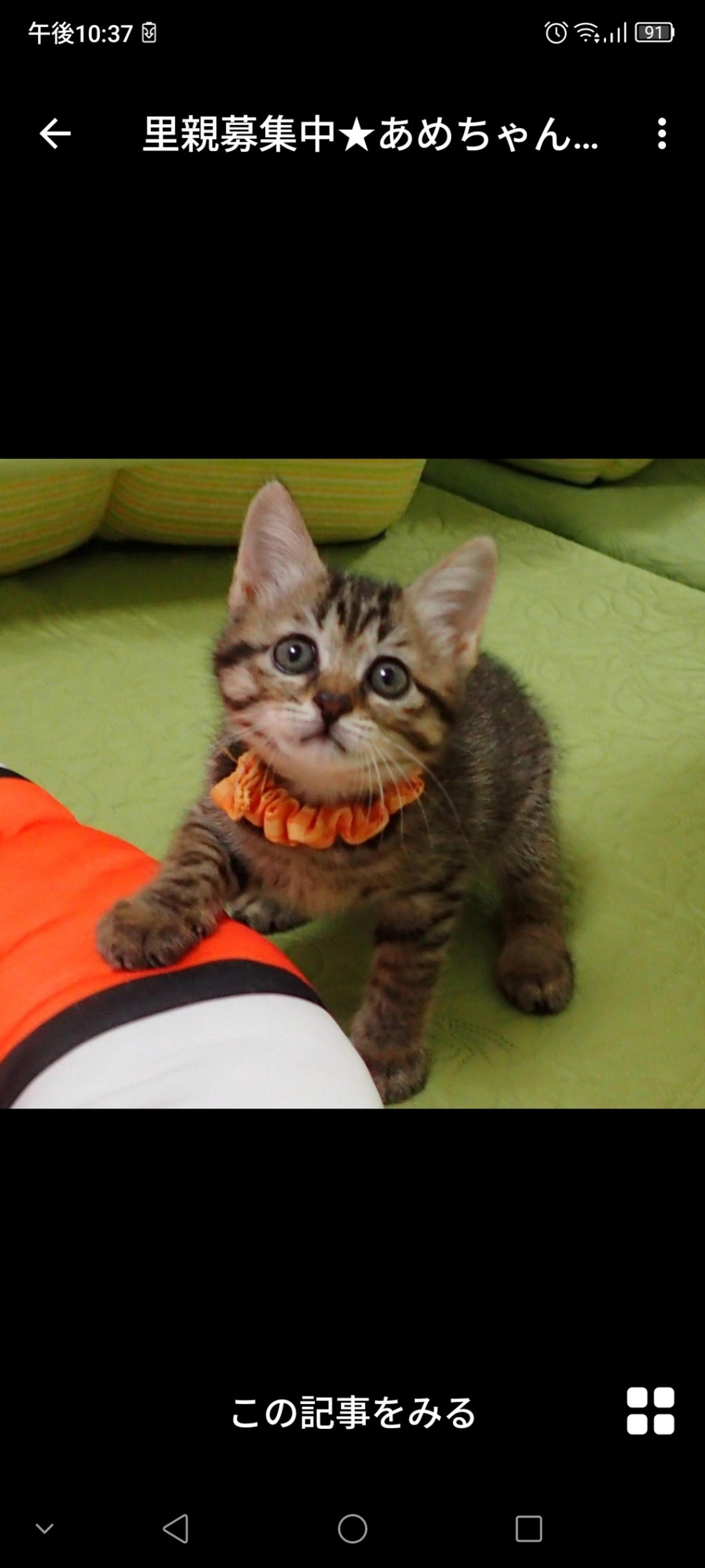 pet-image-2