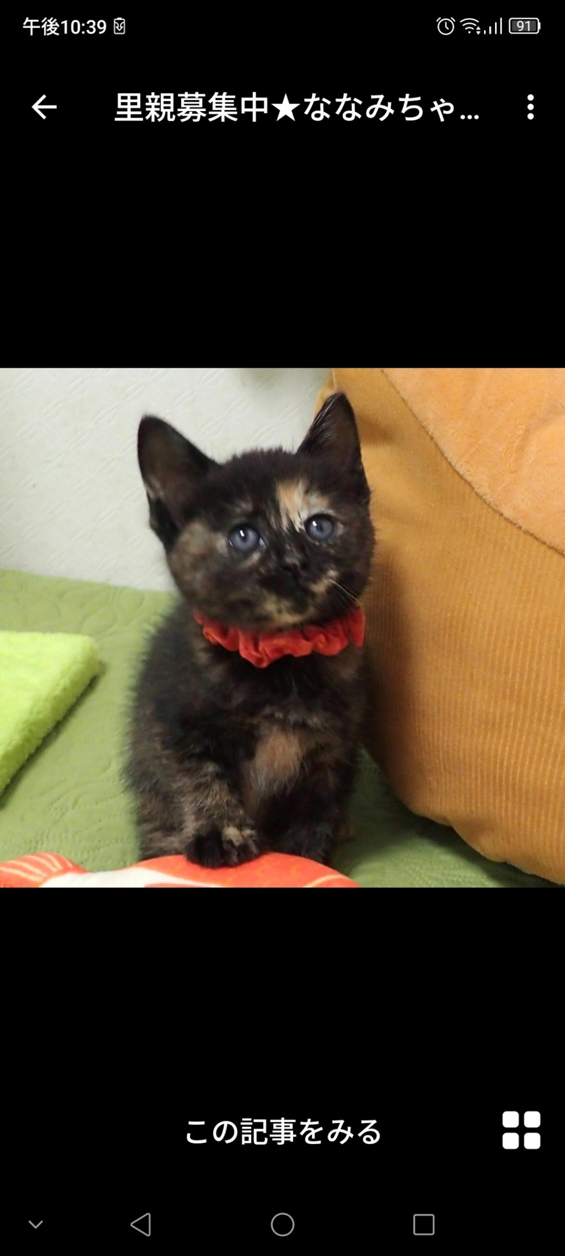 pet-image-3