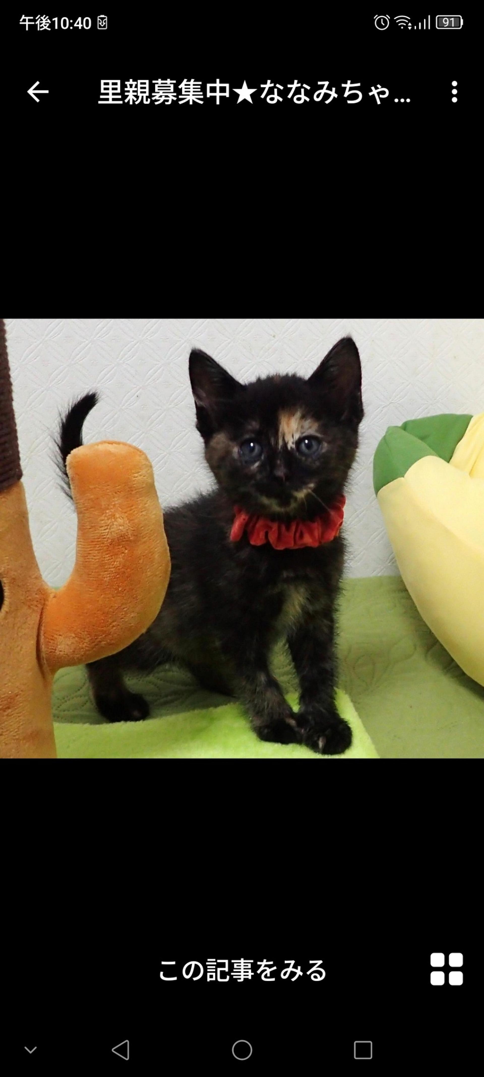 pet-image-2
