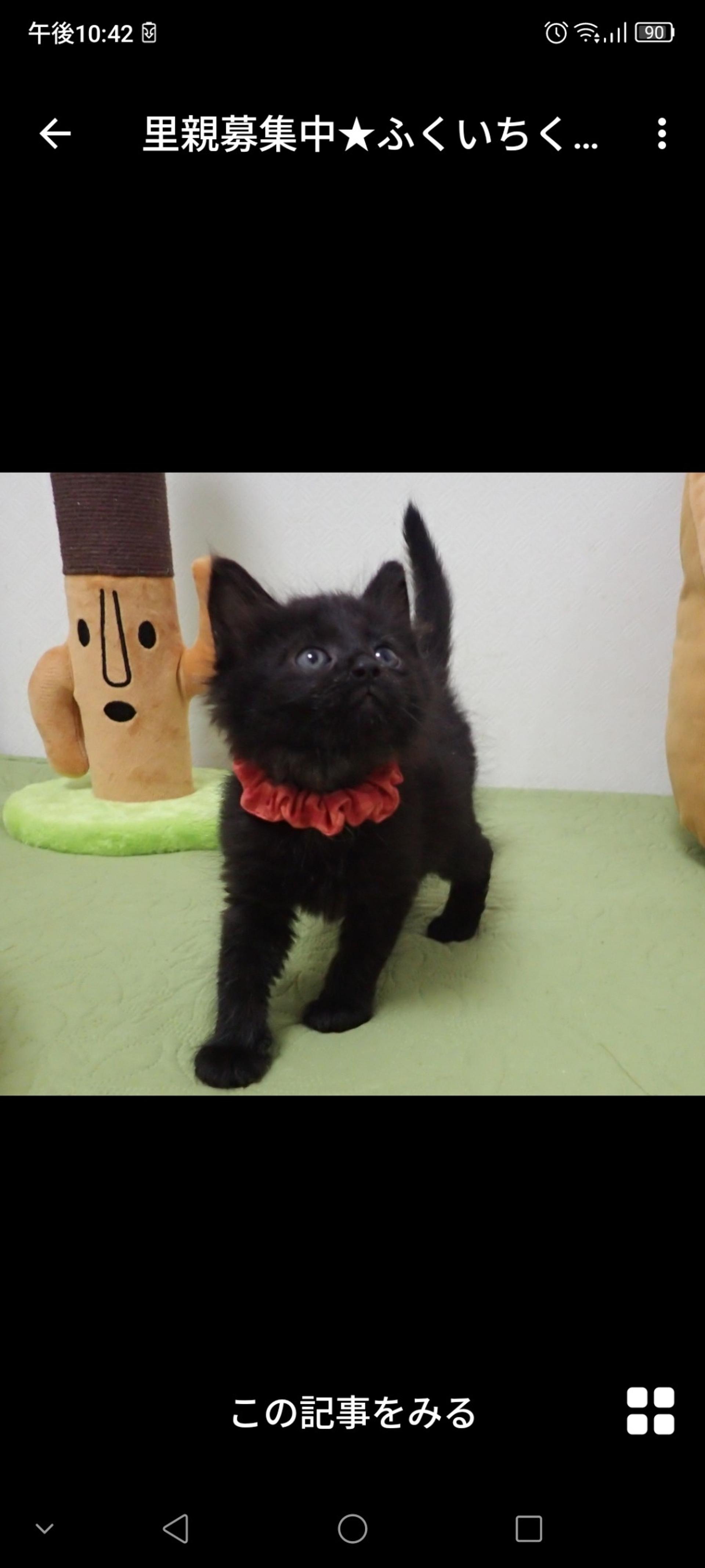 pet-image-3