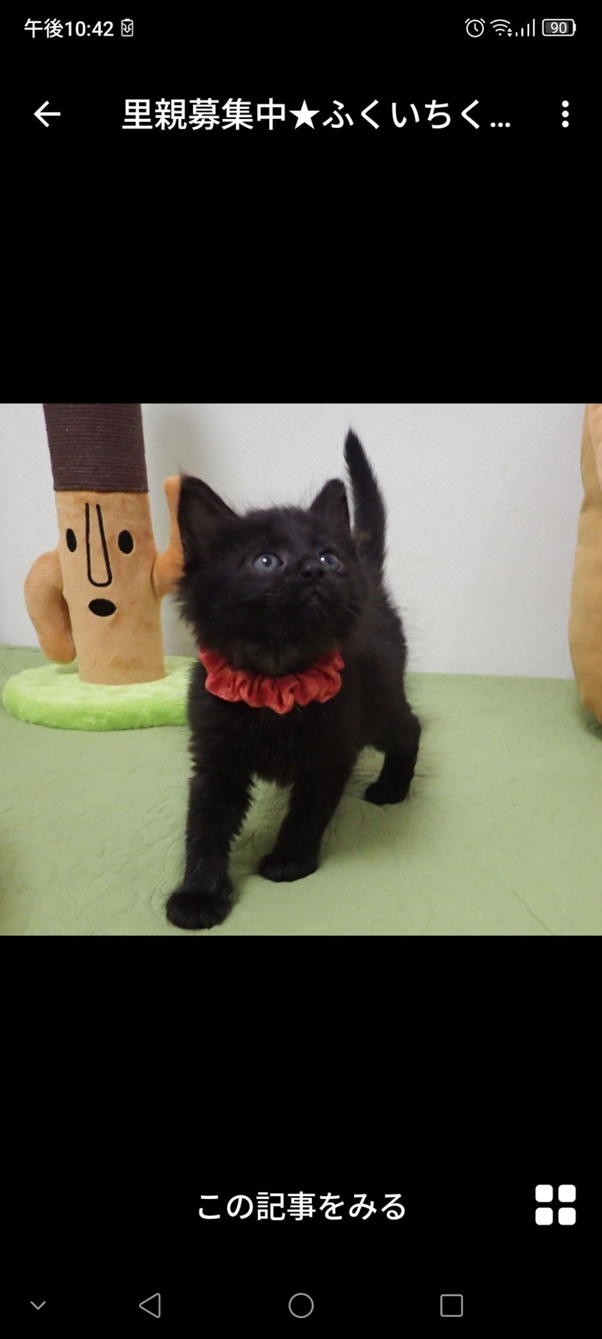 thumbnail-3