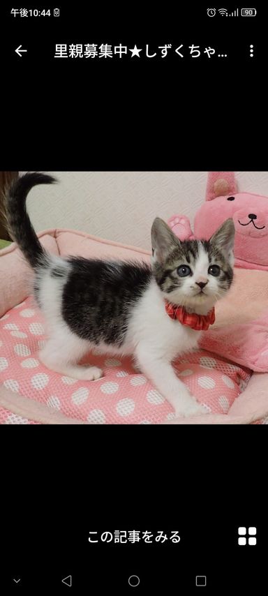 しずくちゃん