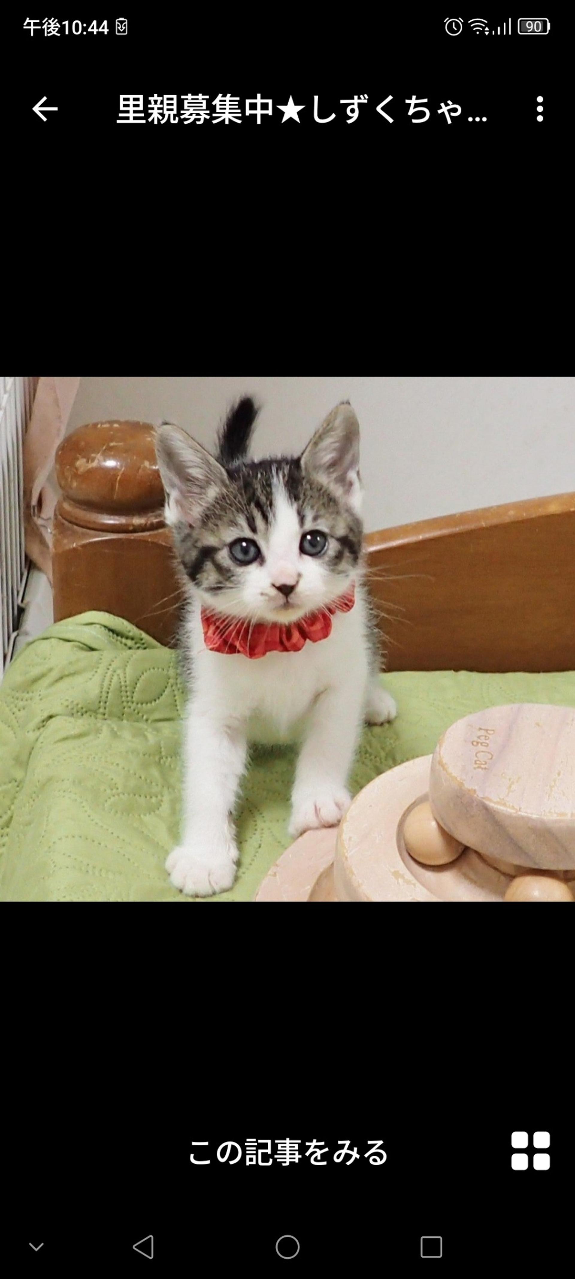 pet-image-2