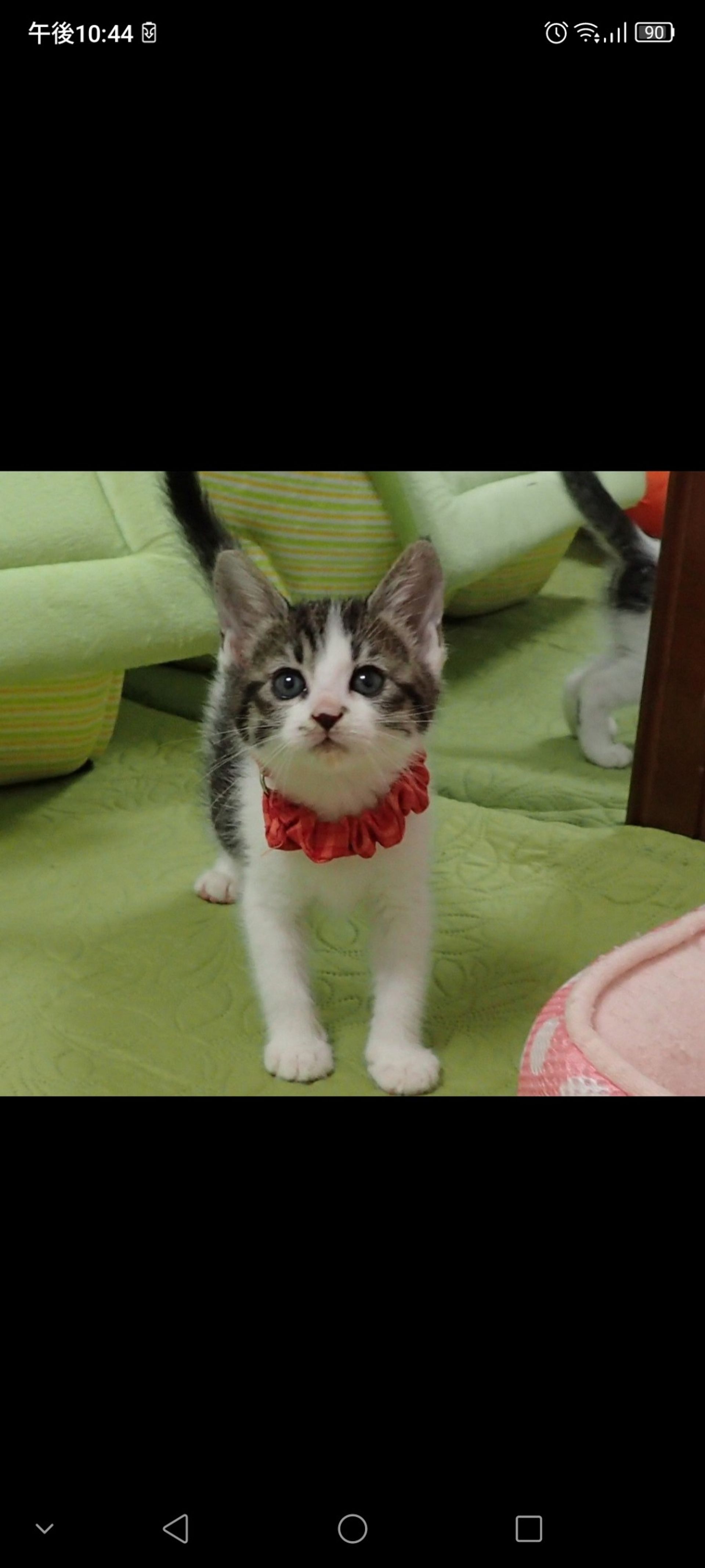 thumbnail-3