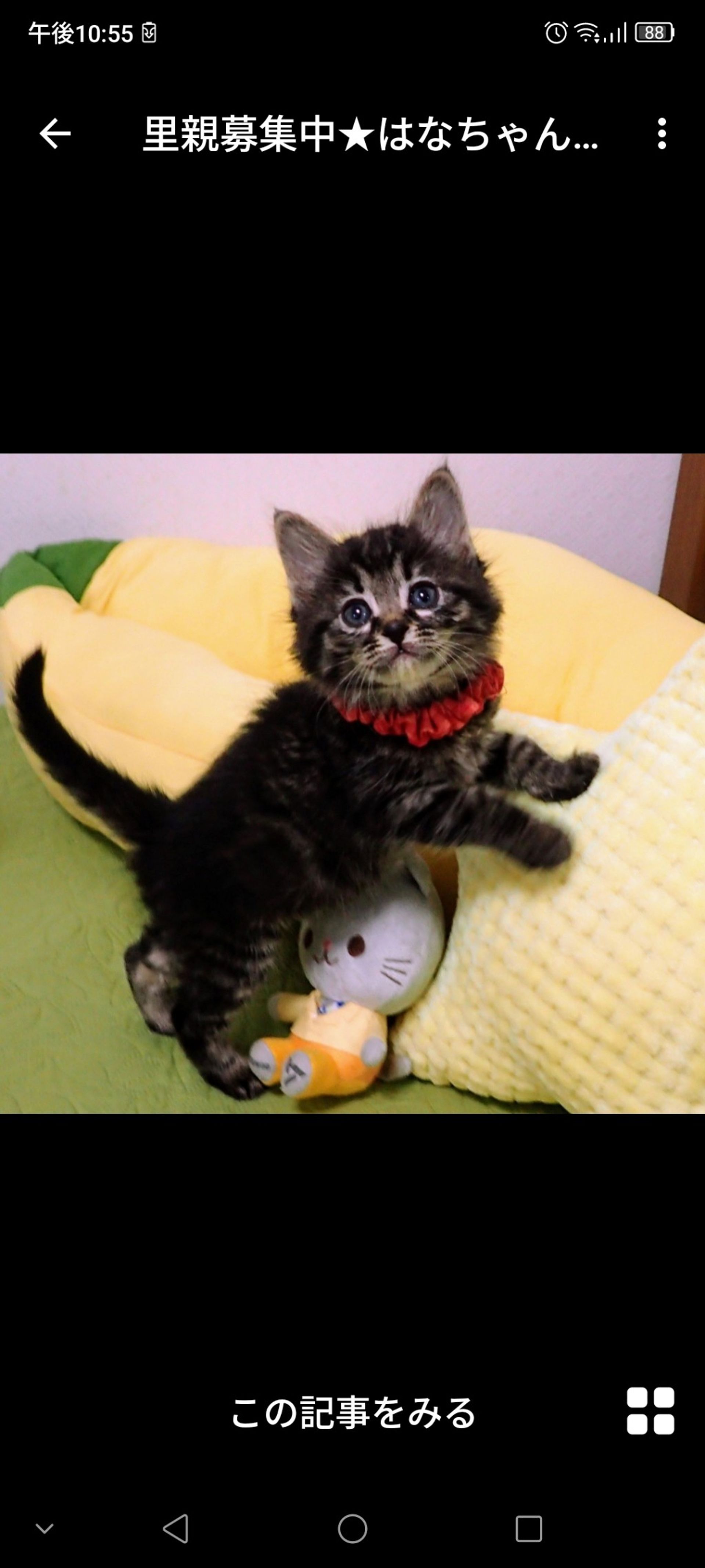 thumbnail-3