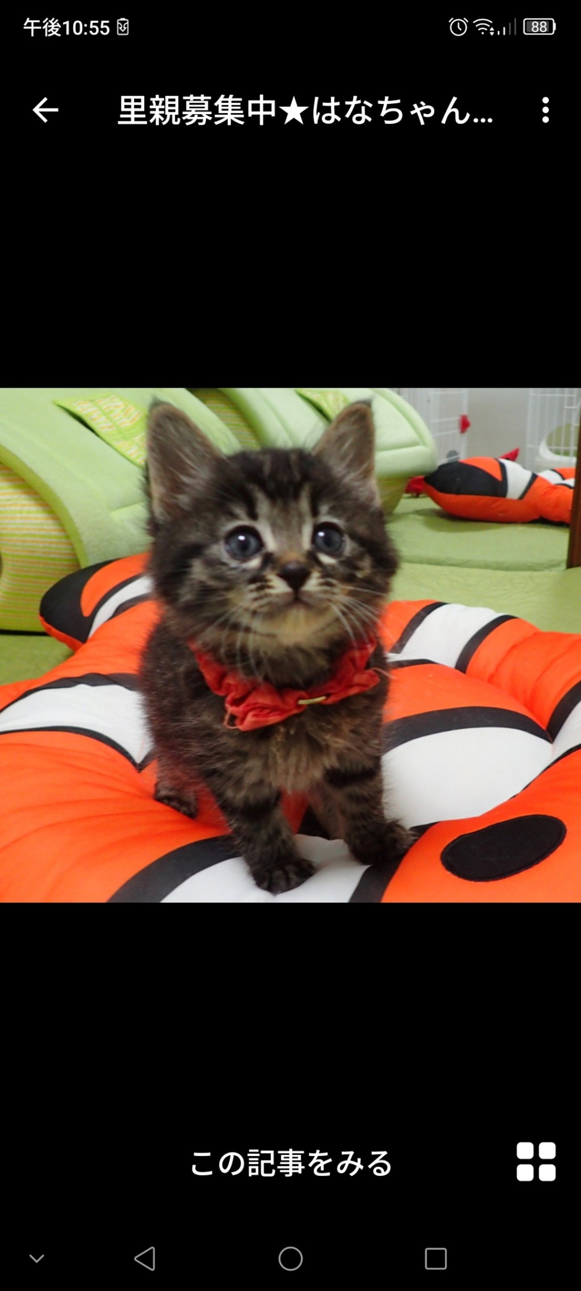 thumbnail-2