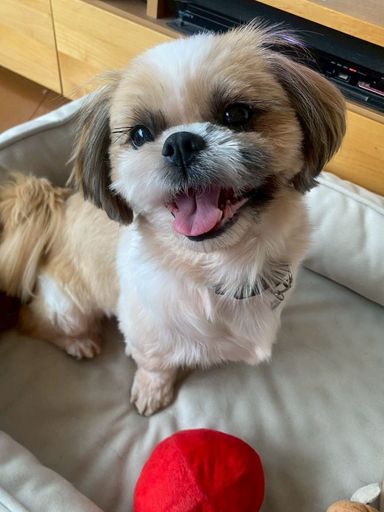 ラムネ