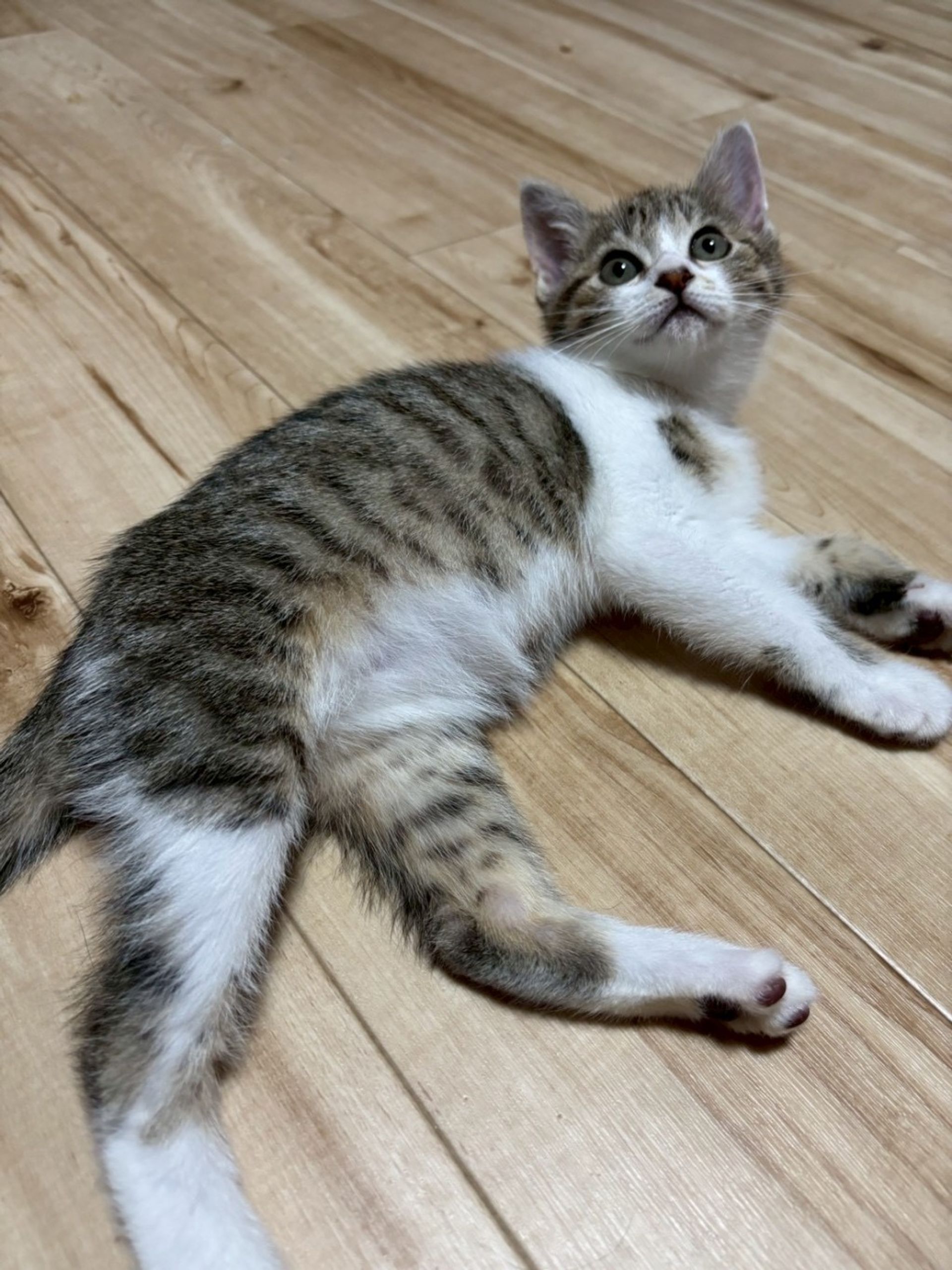 thumbnail-3