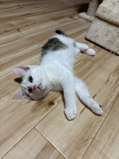 あい