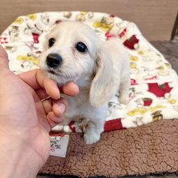 thumb-3