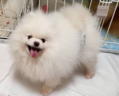 元気