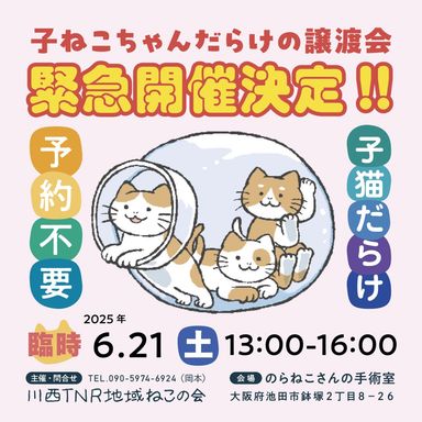 ルイ