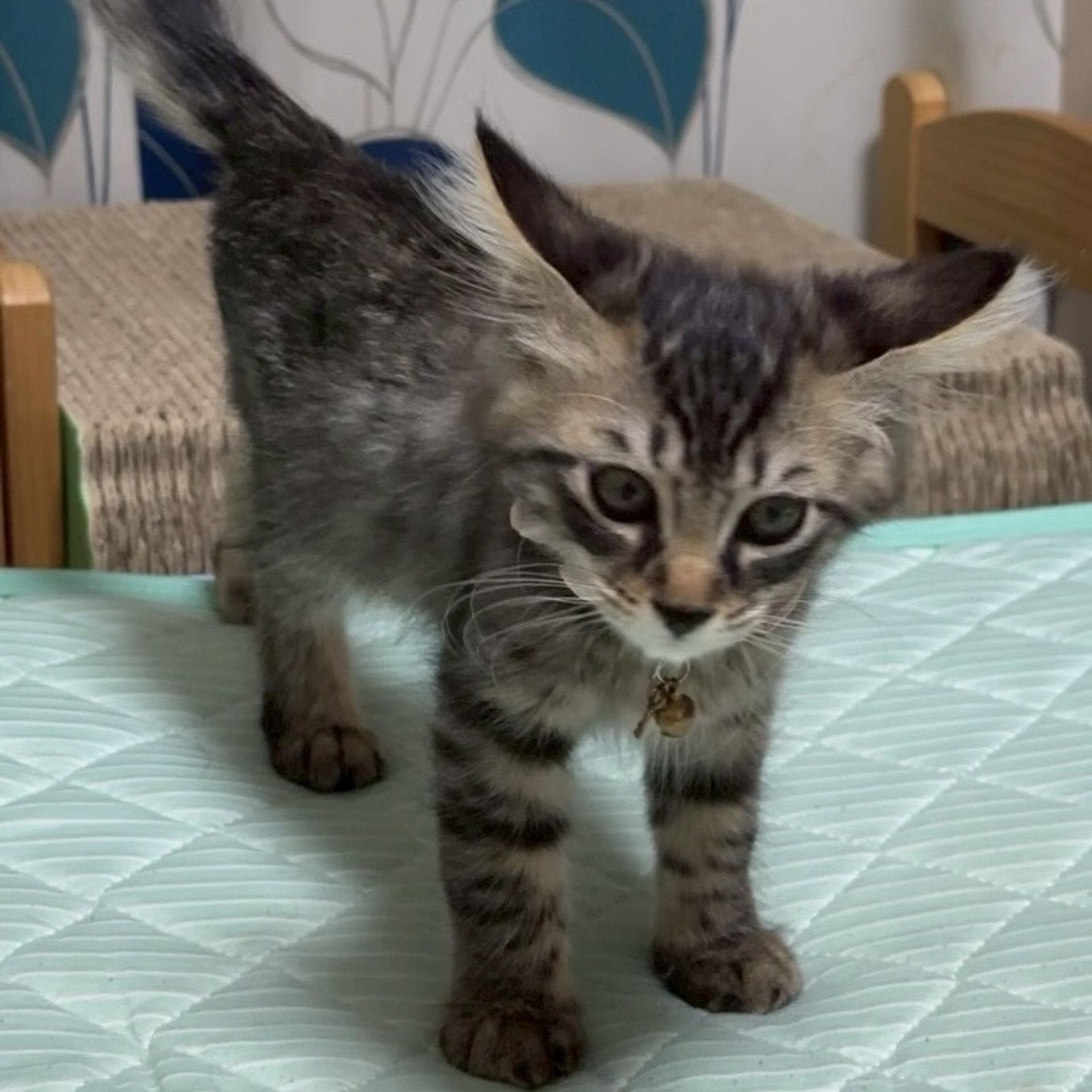 thumbnail-7