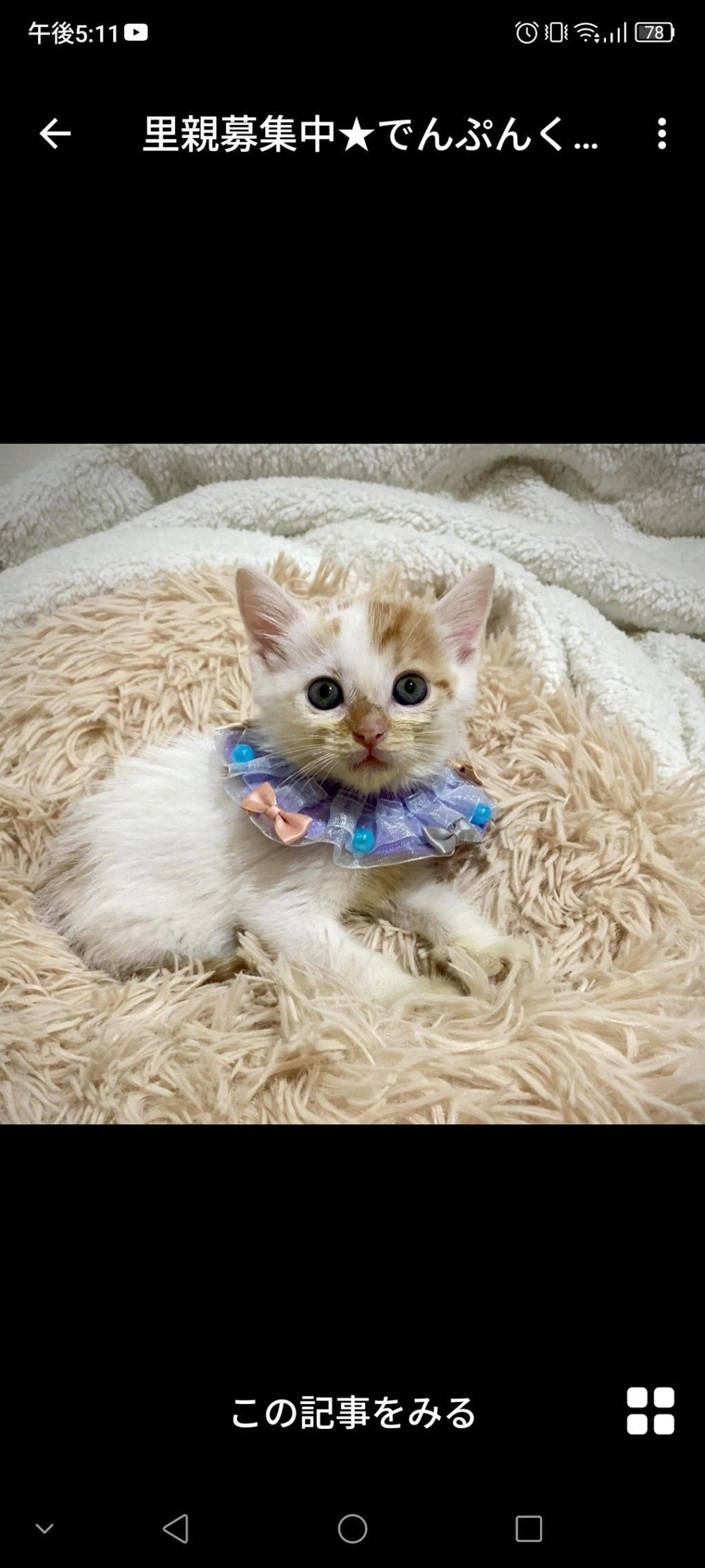 pet-image-3
