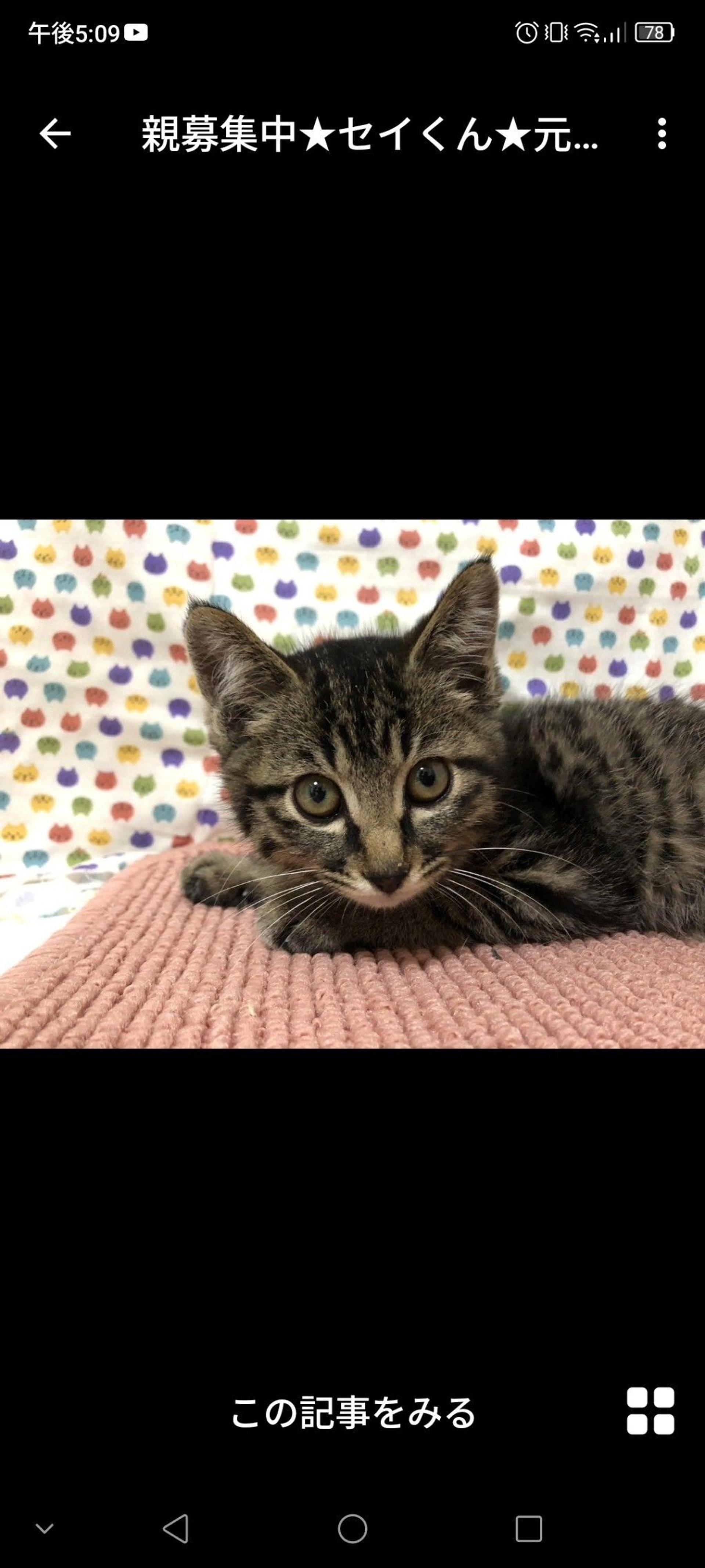 pet-image-2