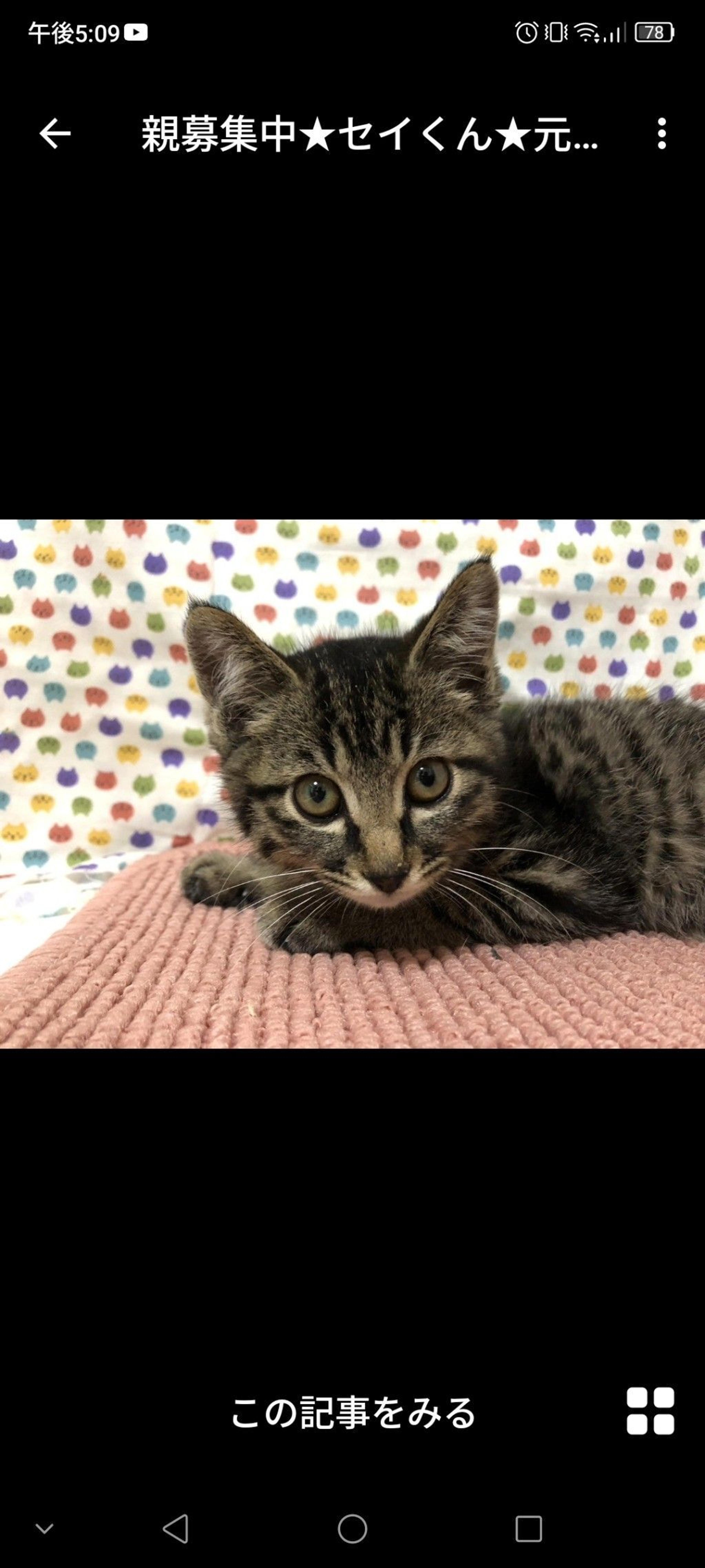 pet-image-2