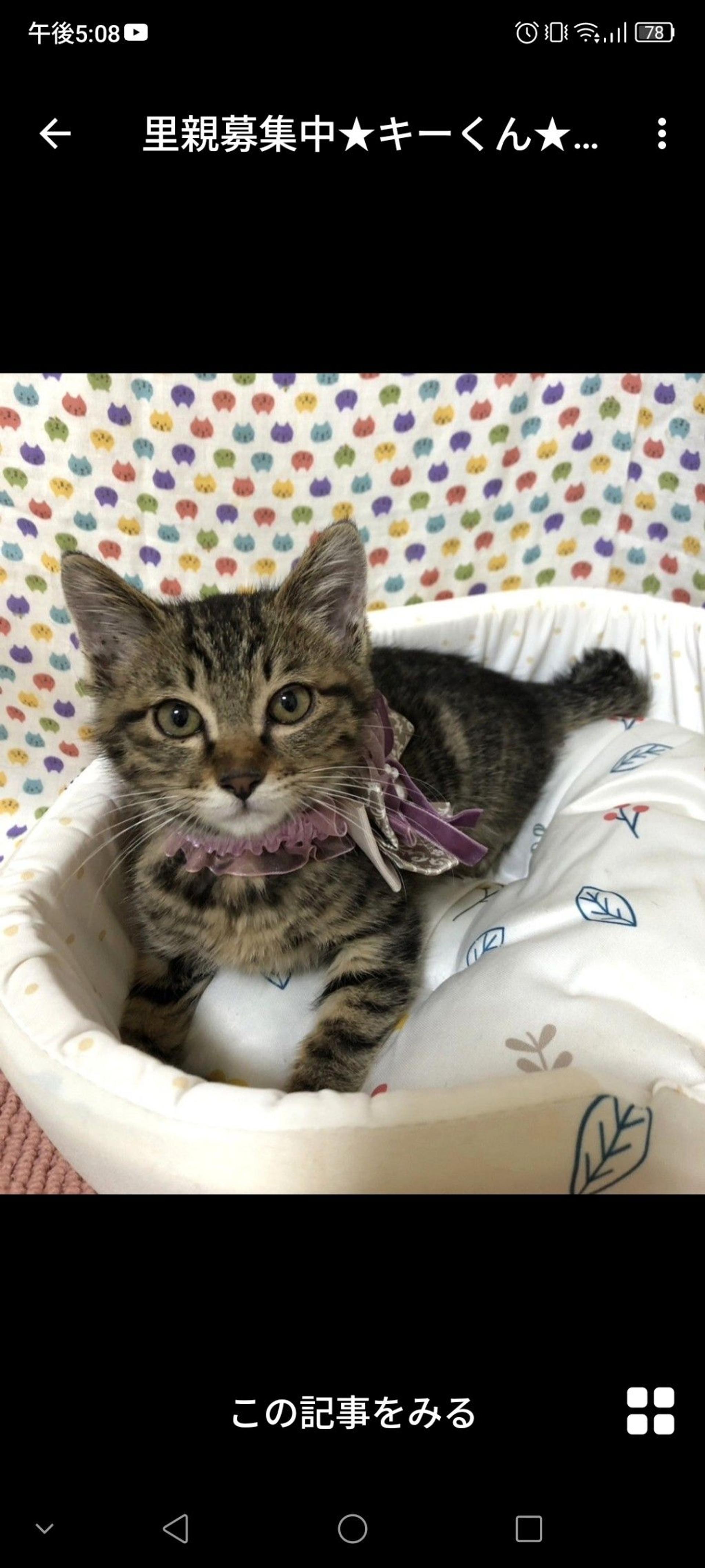pet-image-2