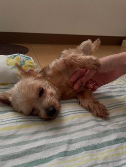 thumb-2