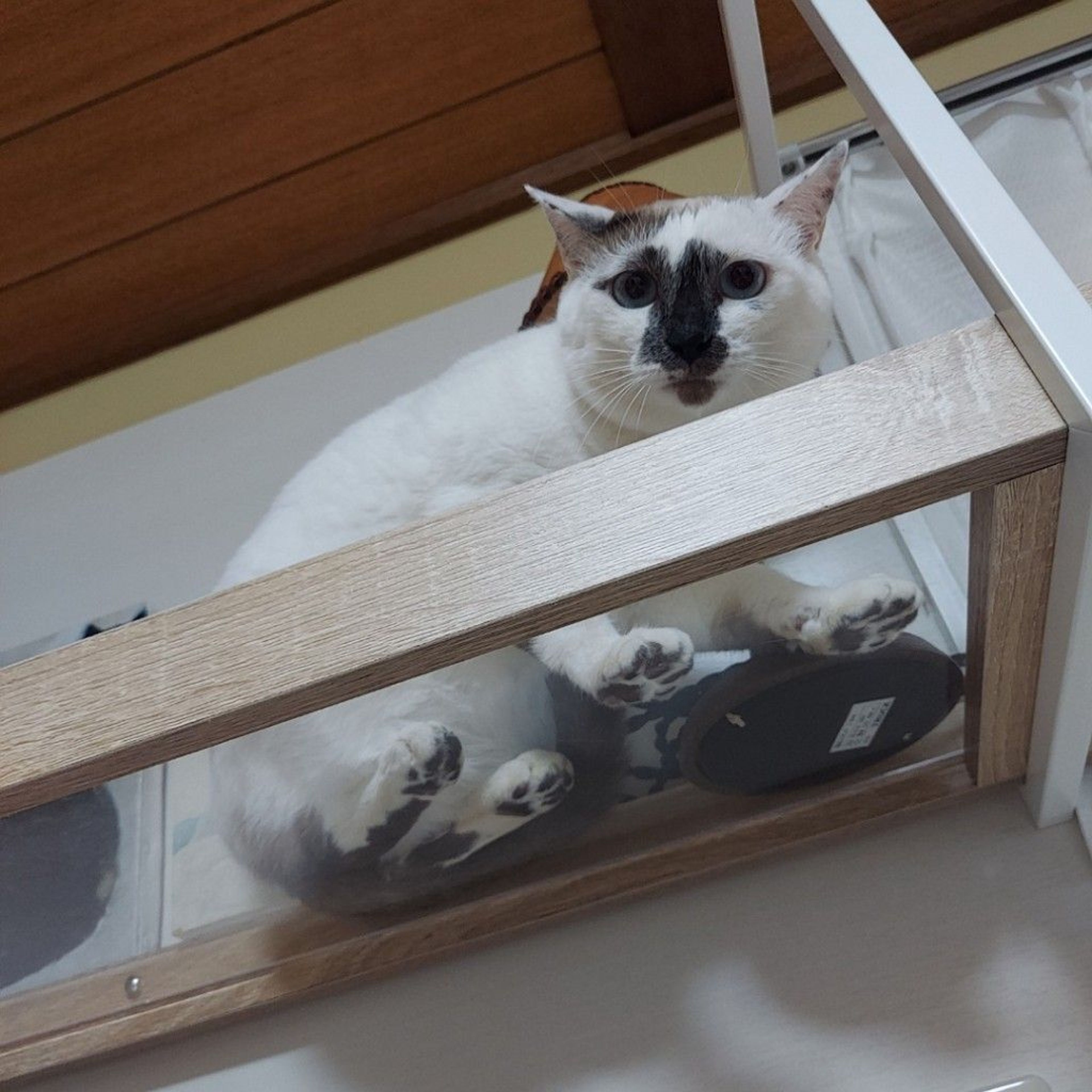 image-4
