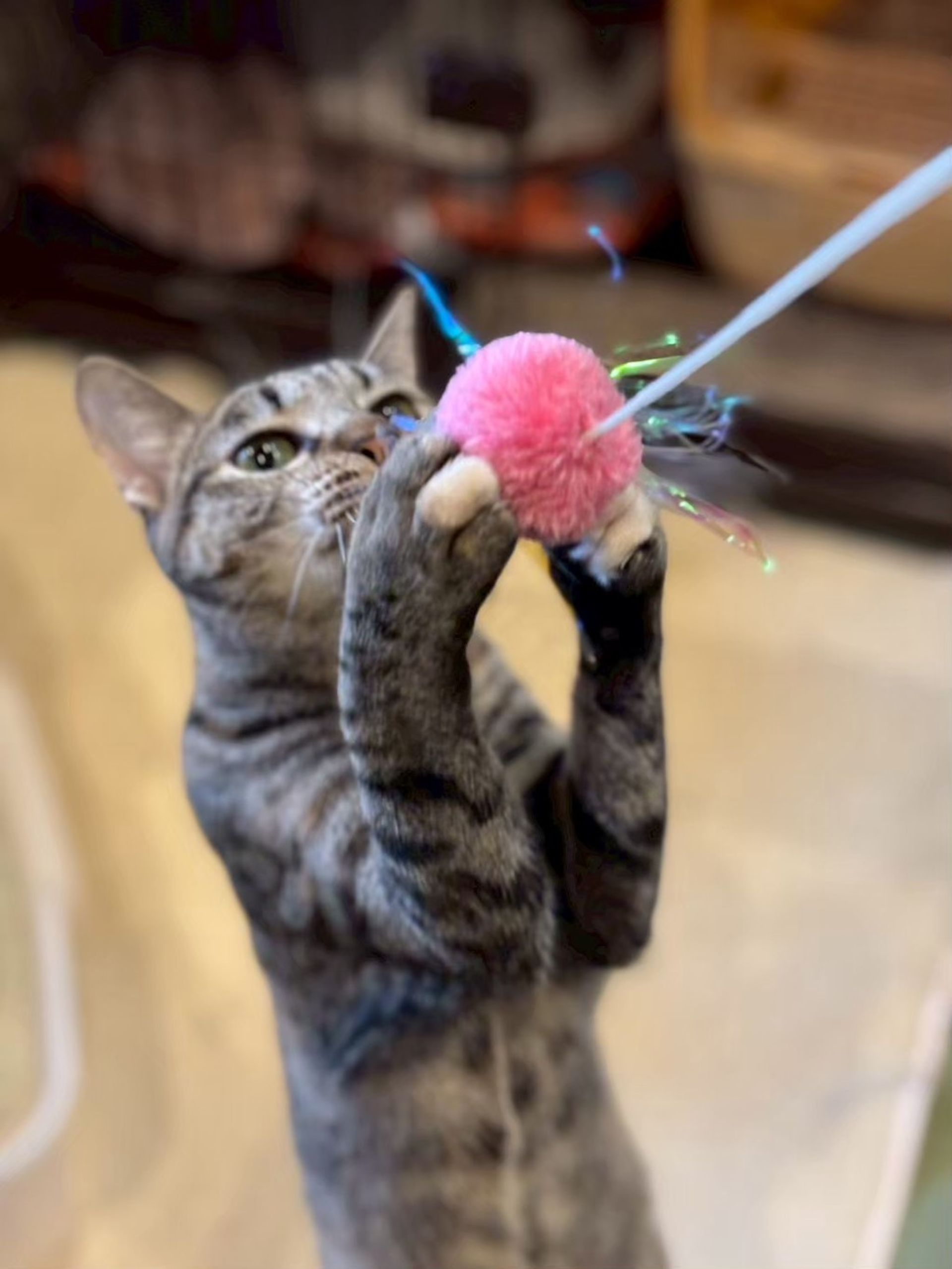 thumbnail-7
