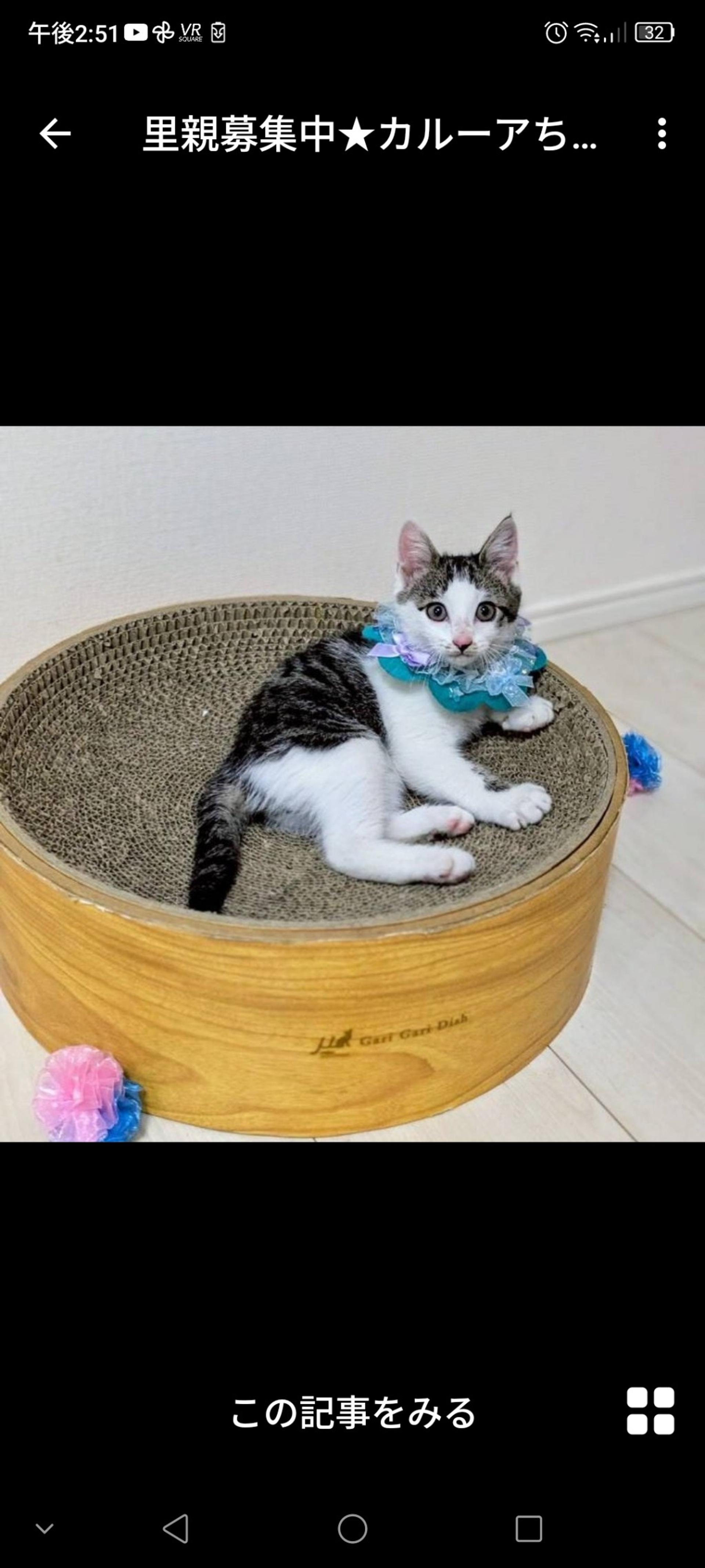 pet-image-3