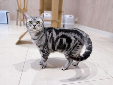 ひめちゃん