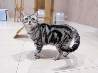 ひめちゃん
