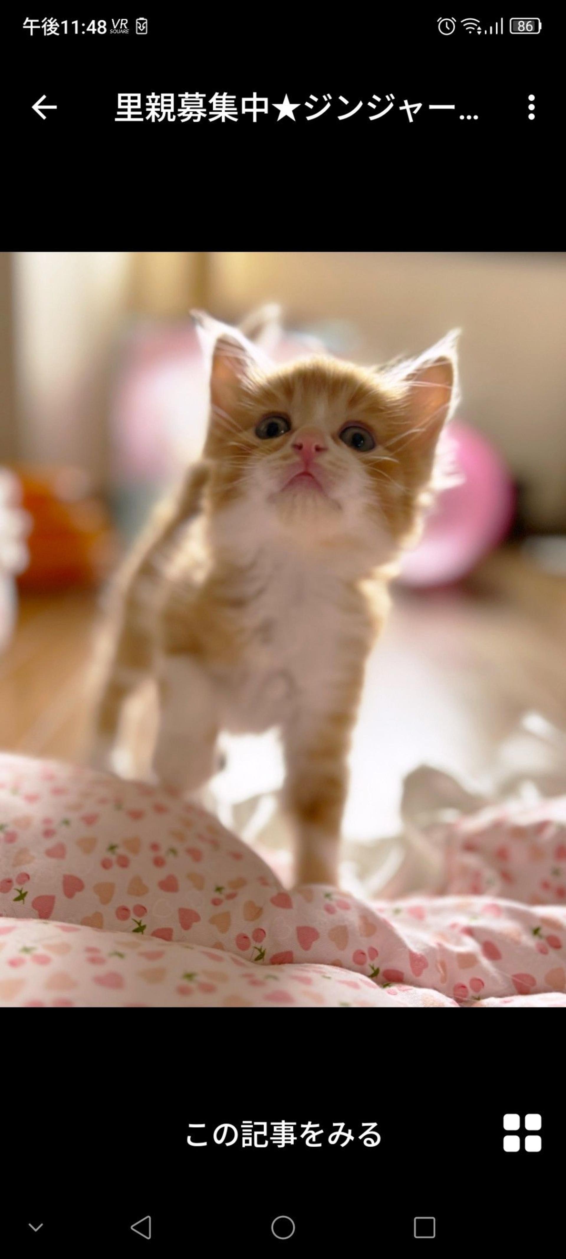 pet-image-3