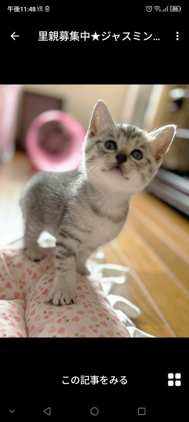 ジャスミンちゃん