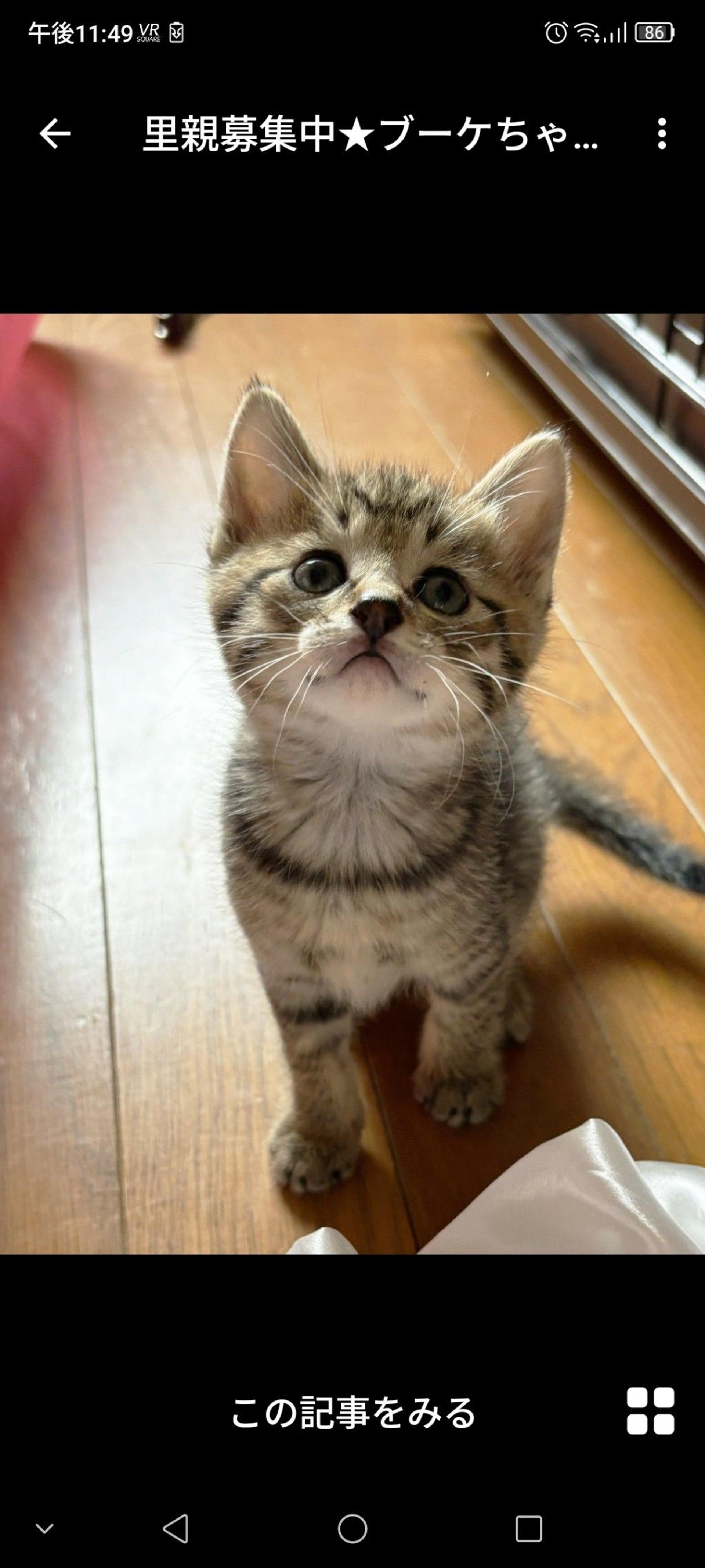 pet-image-2