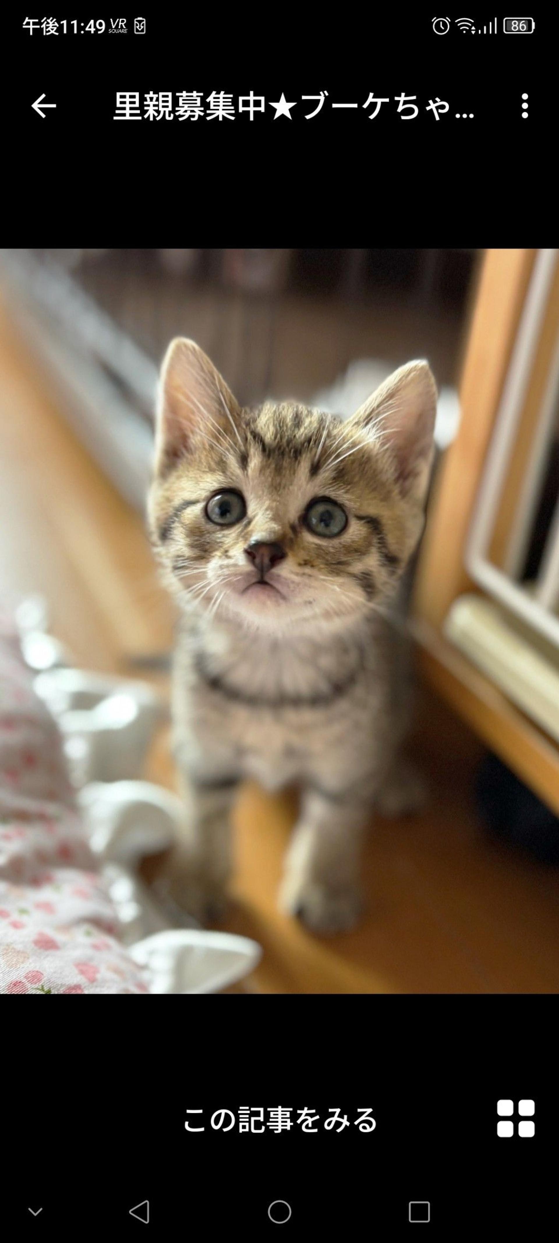 pet-image-3